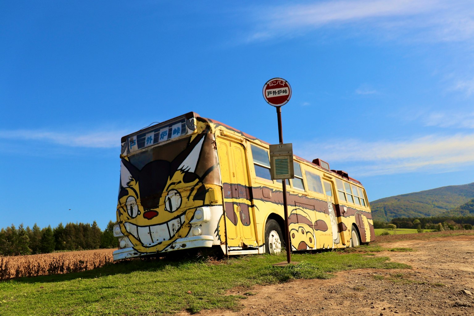 Yellow bus with cat face graffiti in a scenic landscape