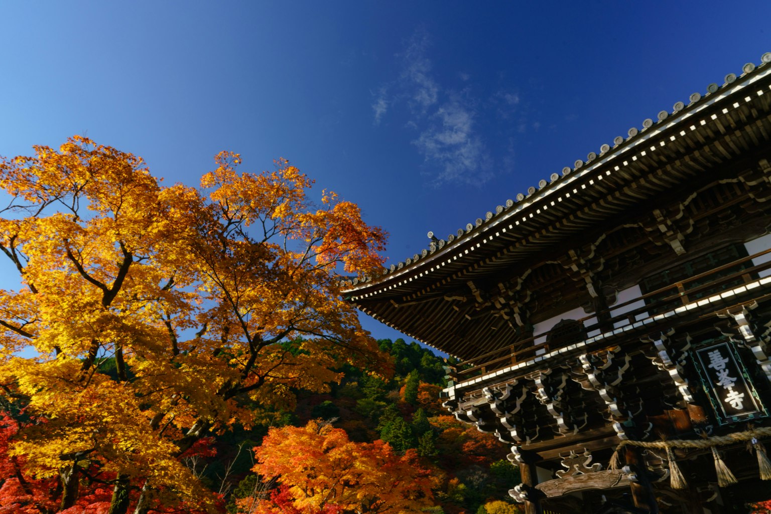 Vue pittoresque de feuillage d'automne vibrant et d'architecture japonaise traditionnelle