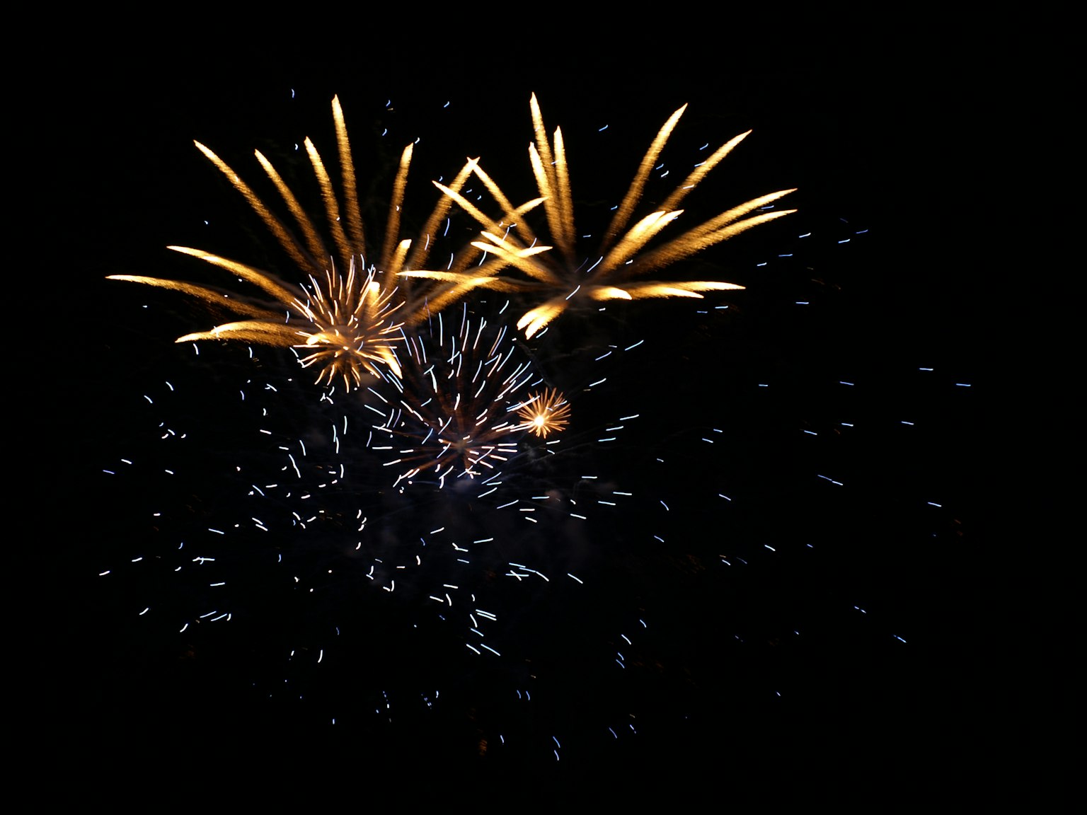 Fuochi d'artificio dorati che esplodono nel cielo notturno