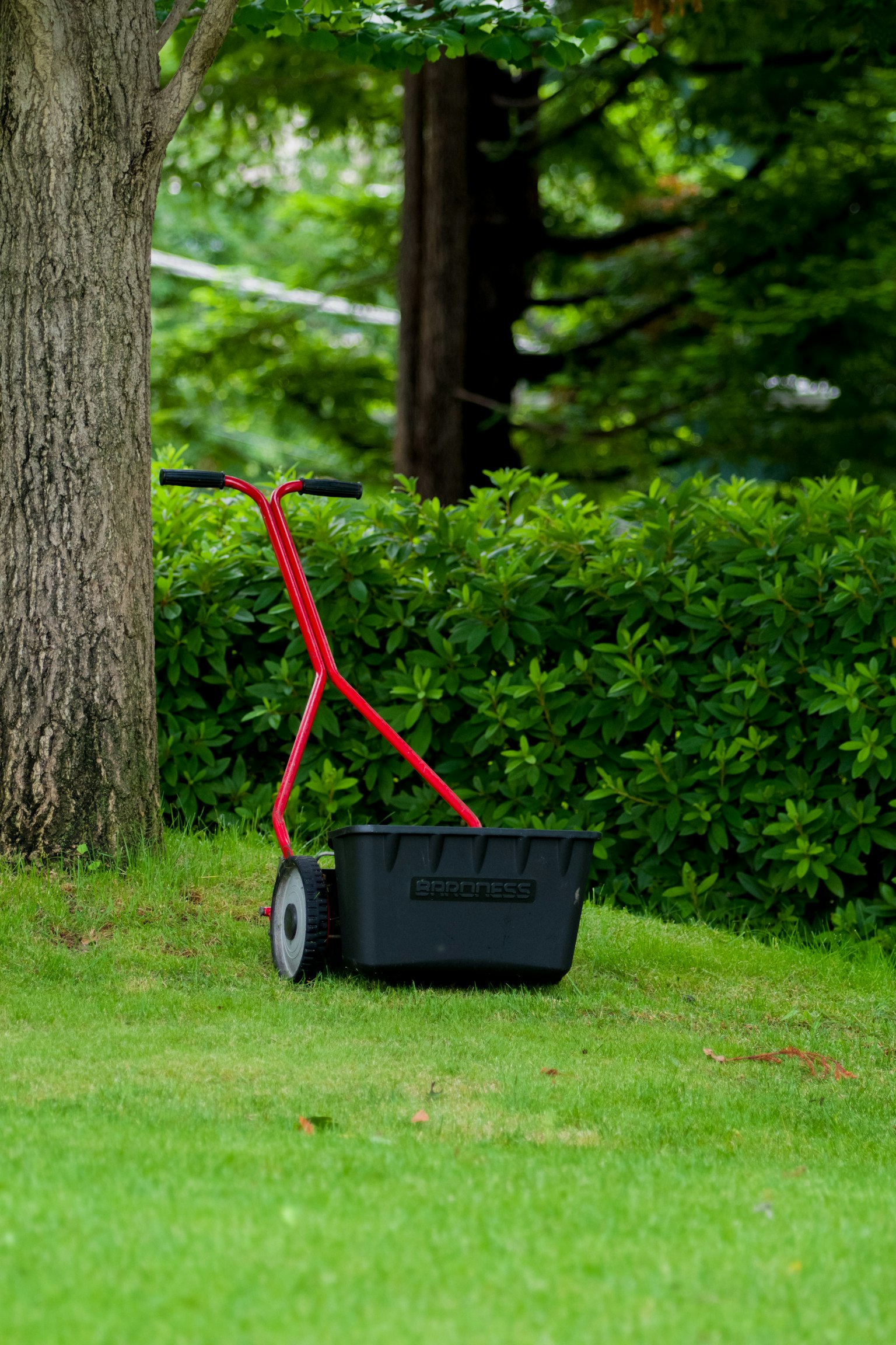 Schwarzer Gartenwagen mit rotem Griff auf grünem Gras