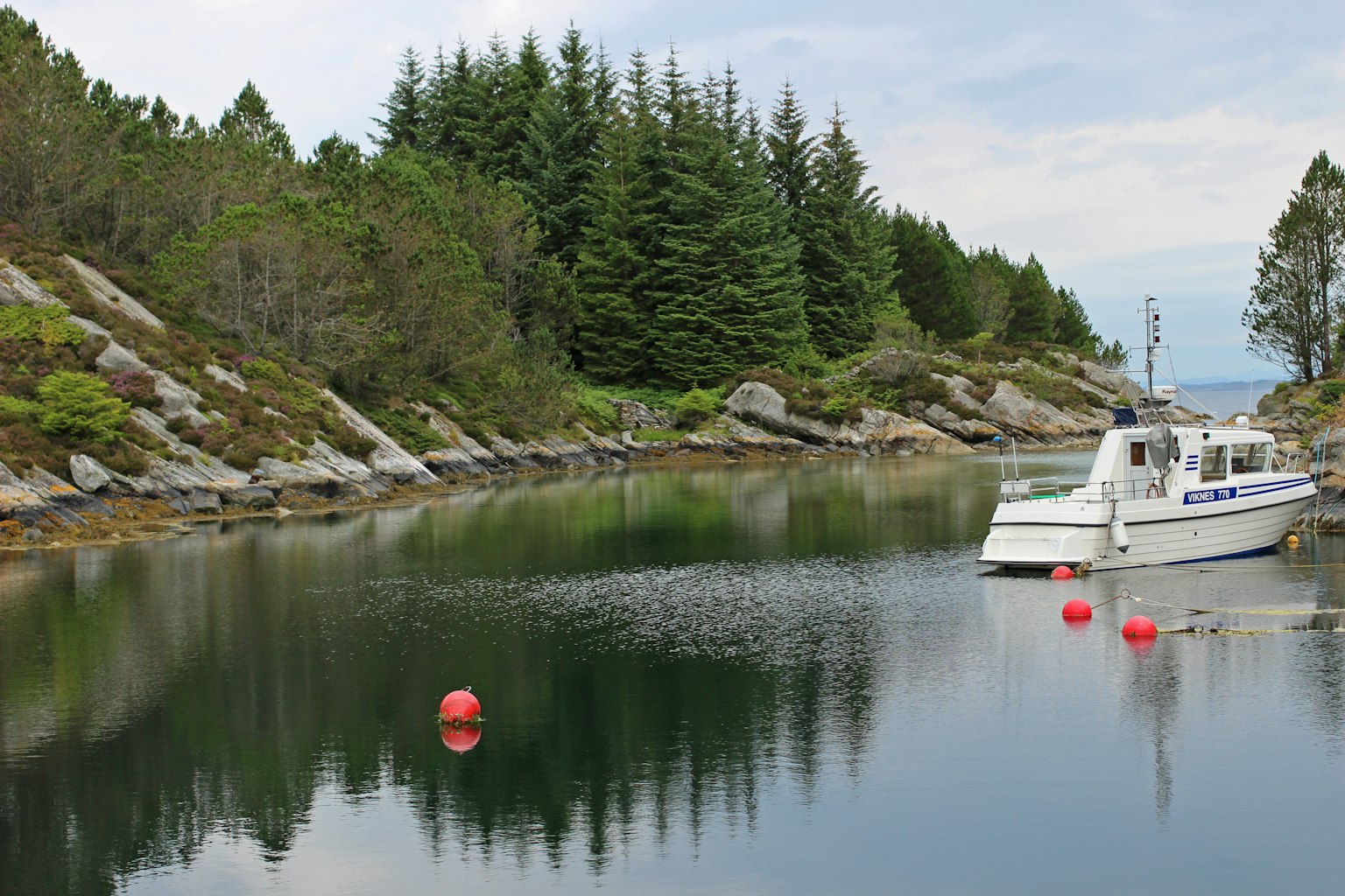Ein weißes Boot, das in einer ruhigen Bucht vor grünen Wäldern liegt