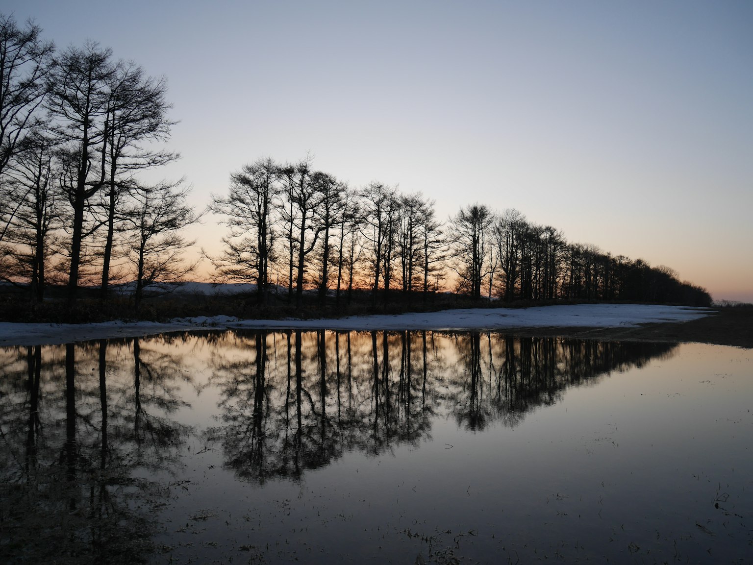 Alberi silhouettati che si riflettono su un lago calmo al tramonto