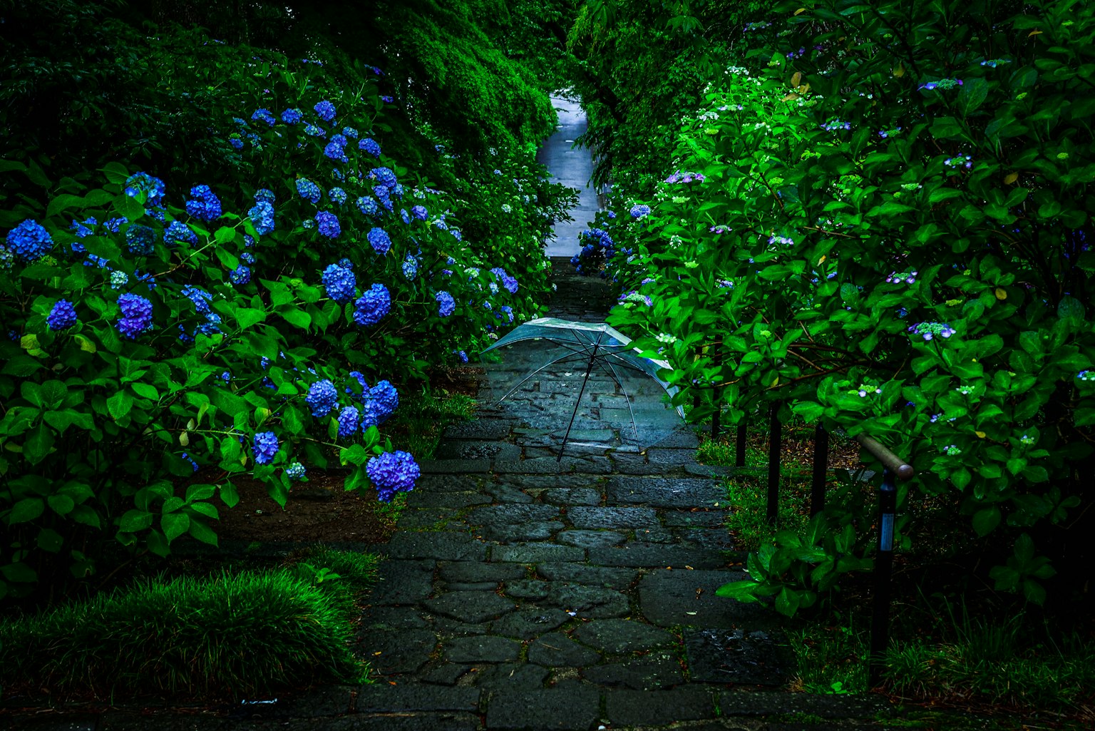 Stone pathway surrounded by blue flowers and lush greenery with a gentle stream