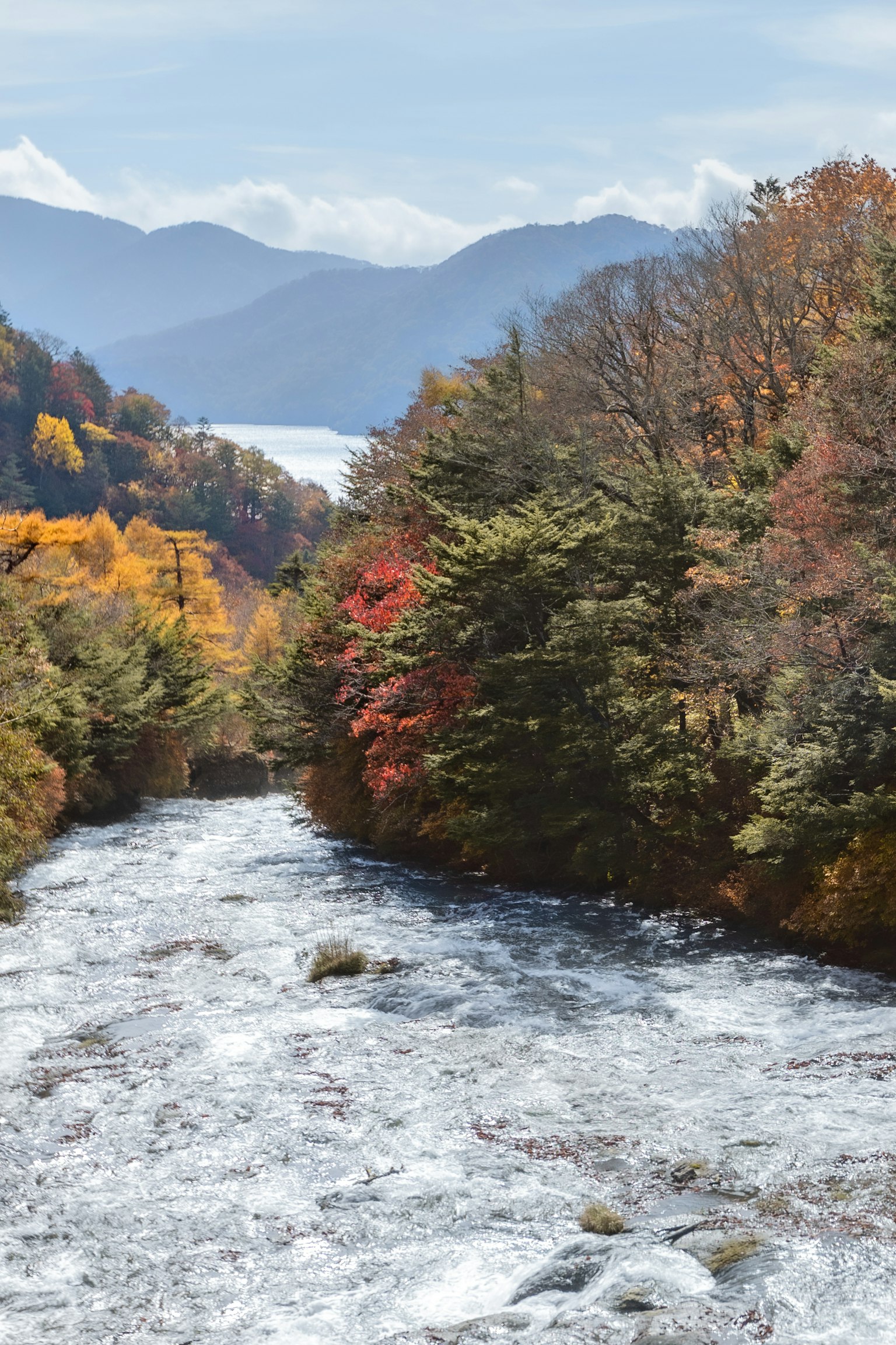 Fiume panoramico che scorre attraverso un fogliame autunnale con montagne sullo sfondo