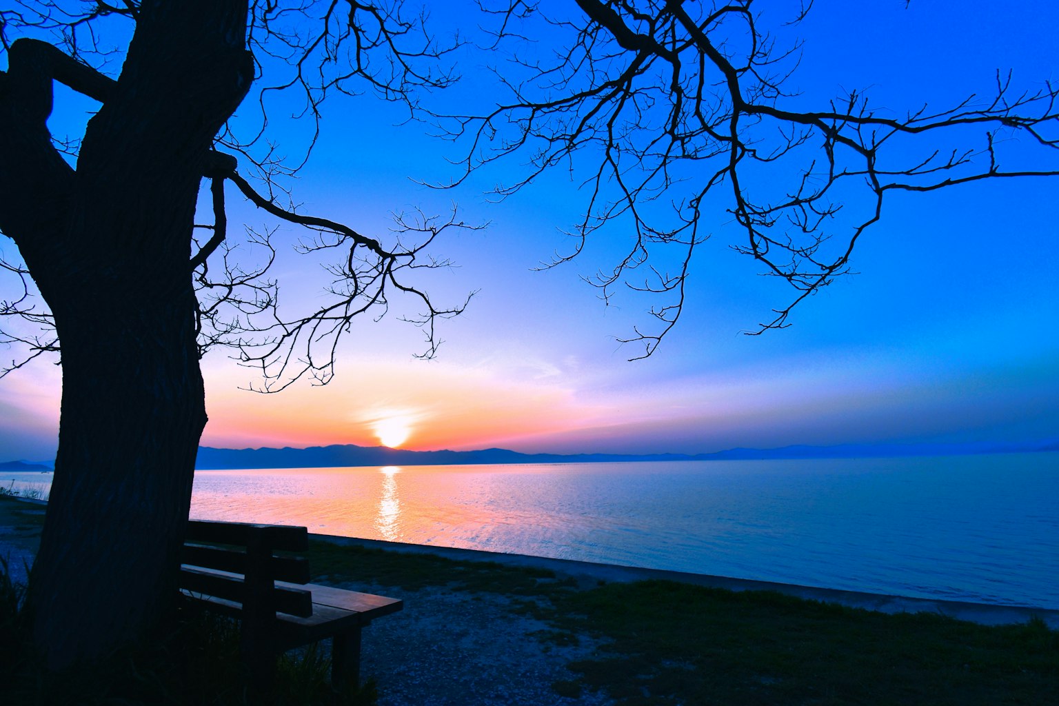 湖面上宁静的日落，树木轮廓和长椅
