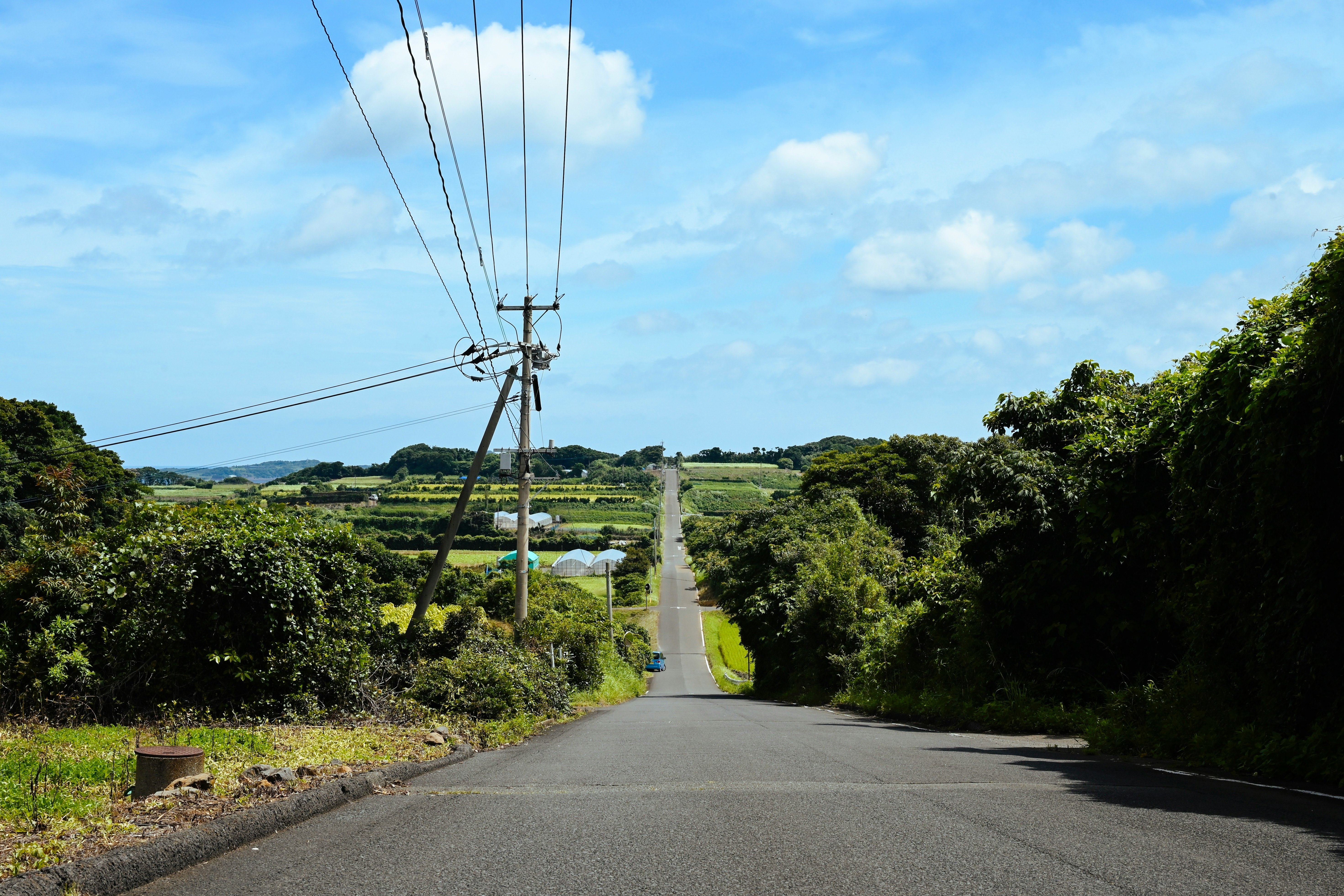 夏の田園を走る一本道の道路風景