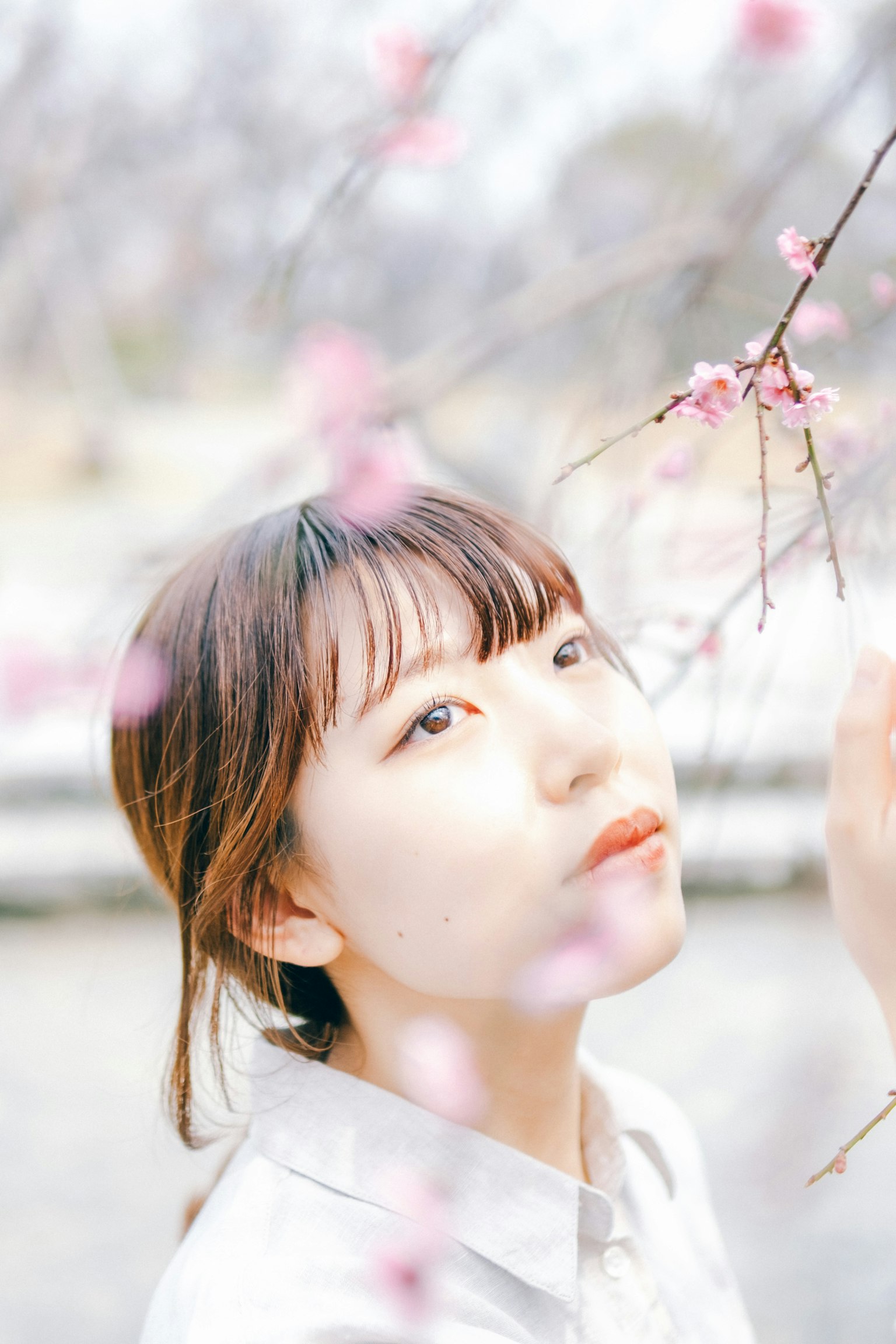 Portrait d'une femme regardant les cerisiers en fleurs