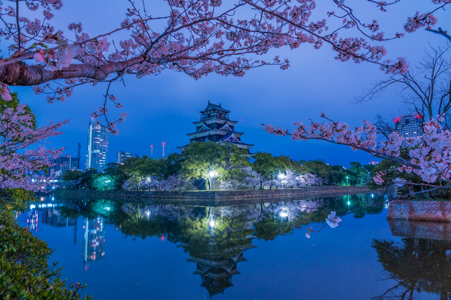 photo-OQqSBWTdyg2ZUwuO6uDy-image