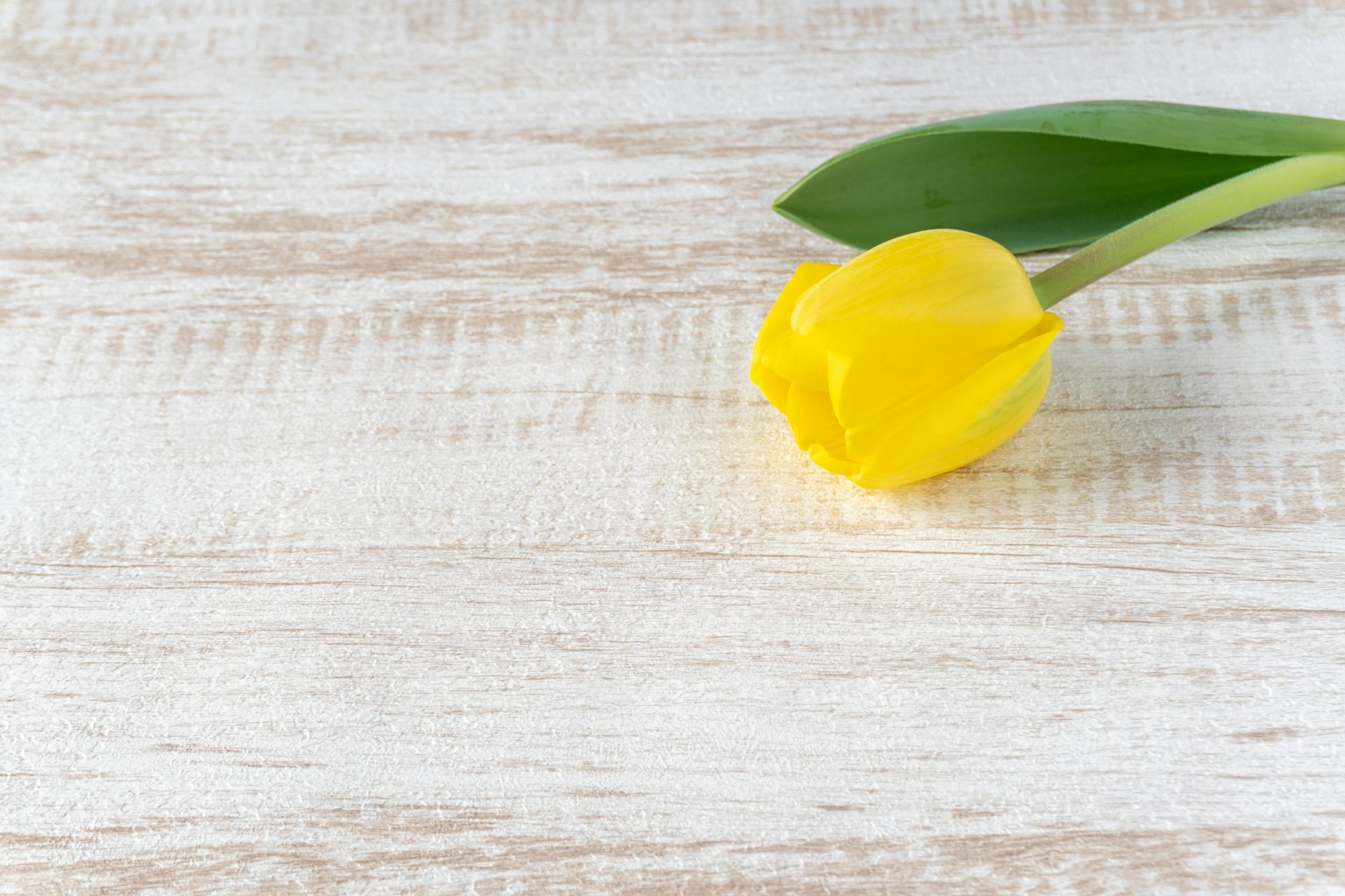 Un tulipán amarillo con hojas verdes sobre una superficie de madera texturizada