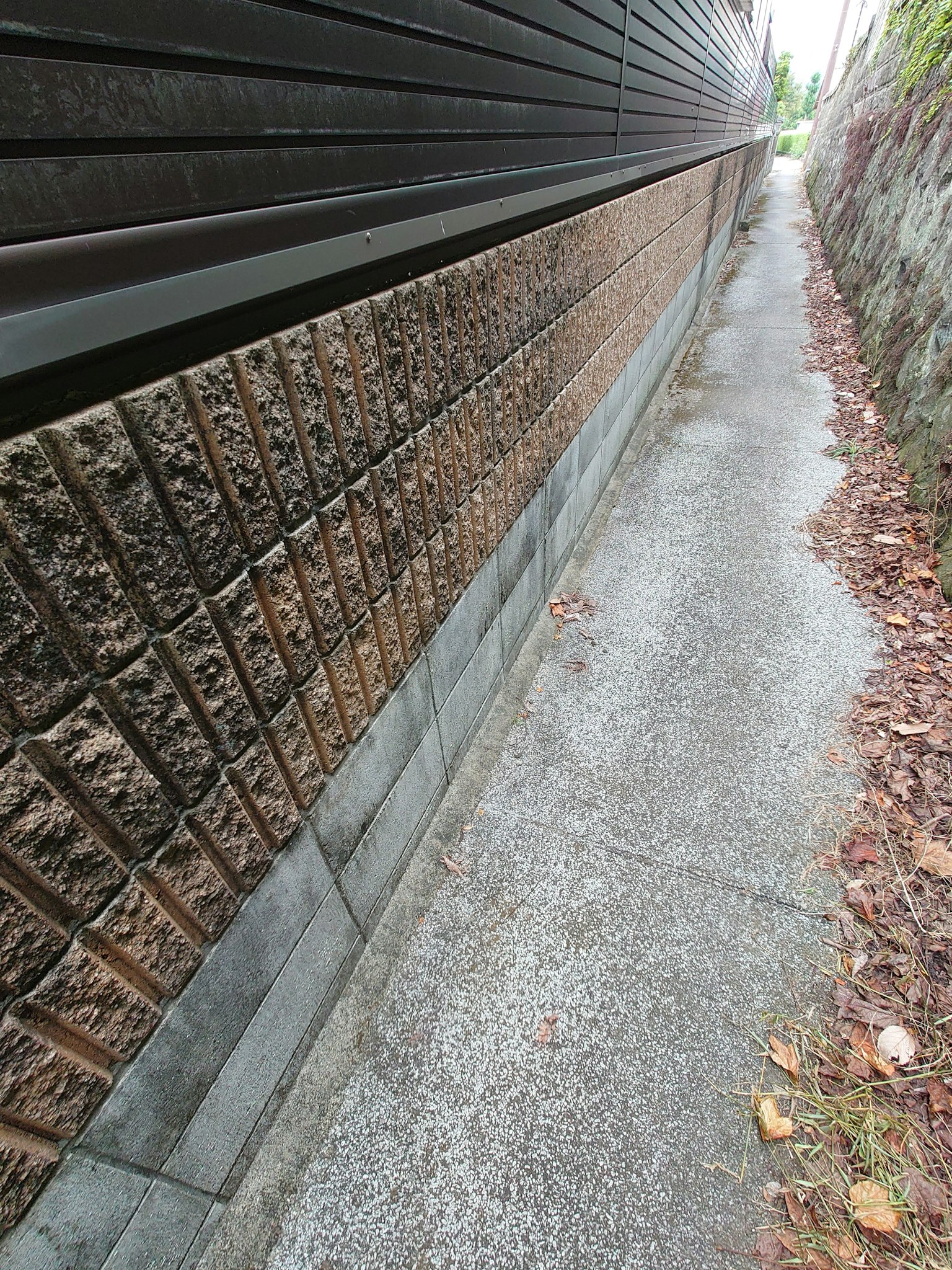 Caminito estrecho junto a una pared de piedra texturizada