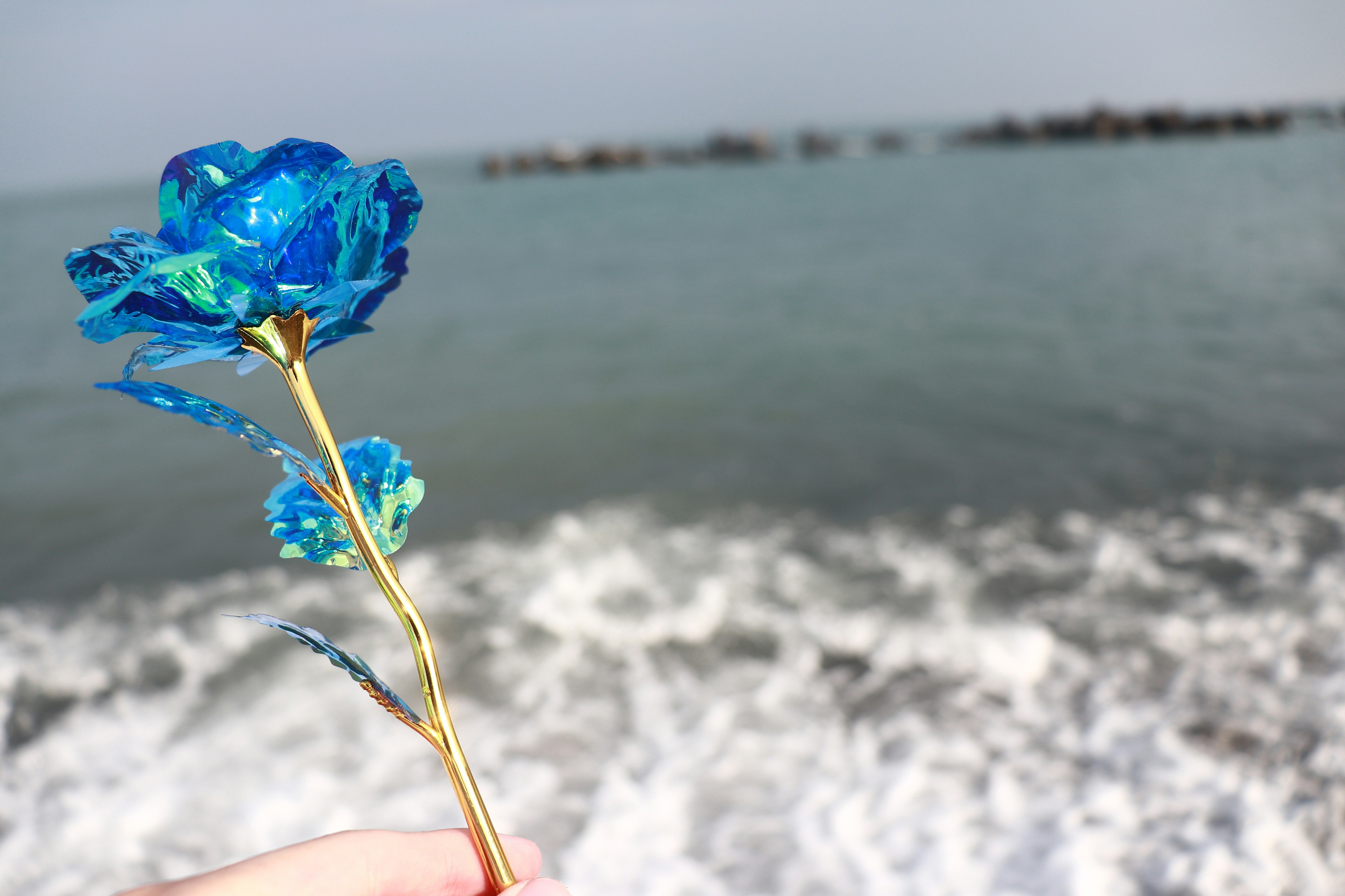 海辺で手に持つ青い花のブーケ