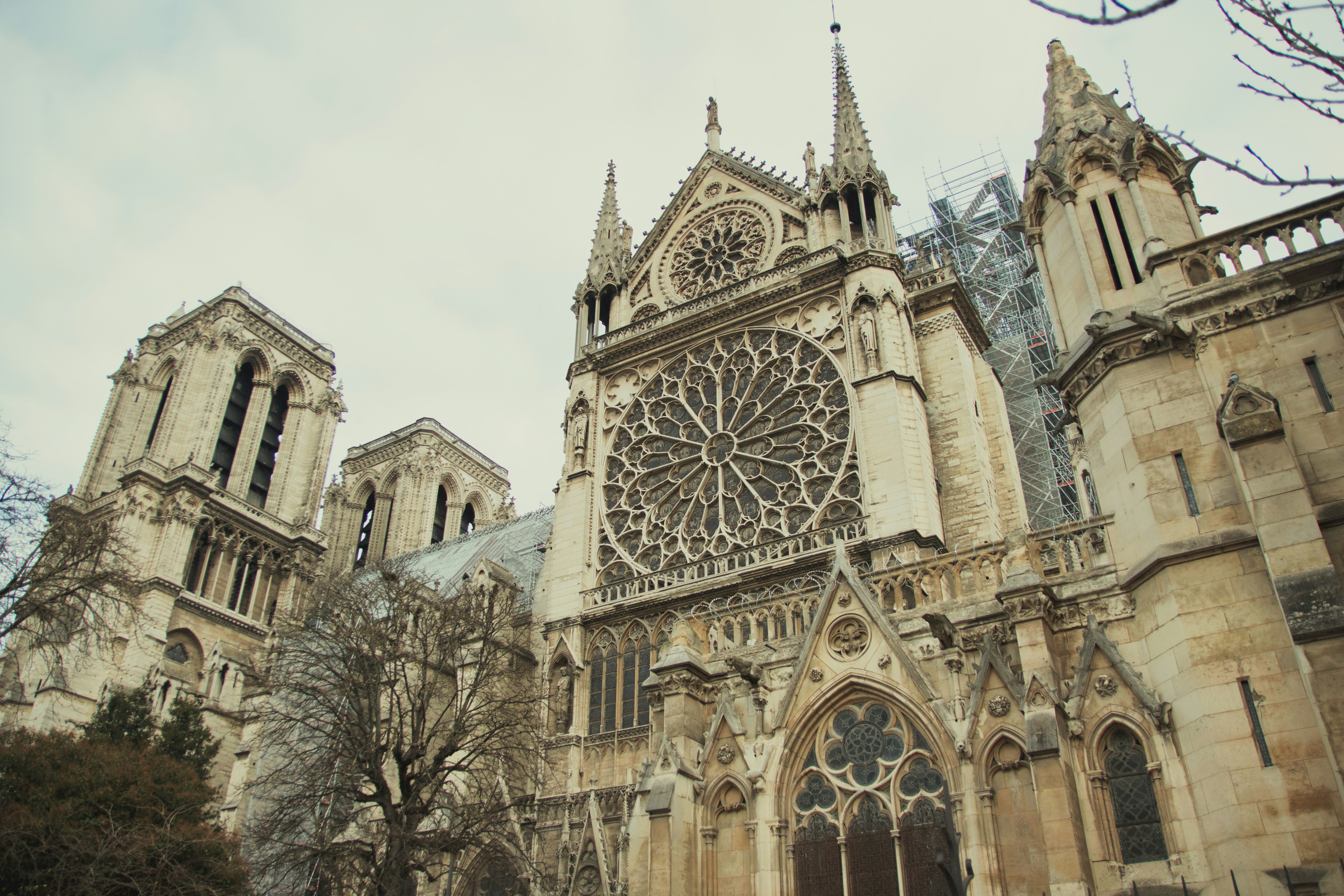 façade de la cathédrale Notre-Dame et rosace à Paris