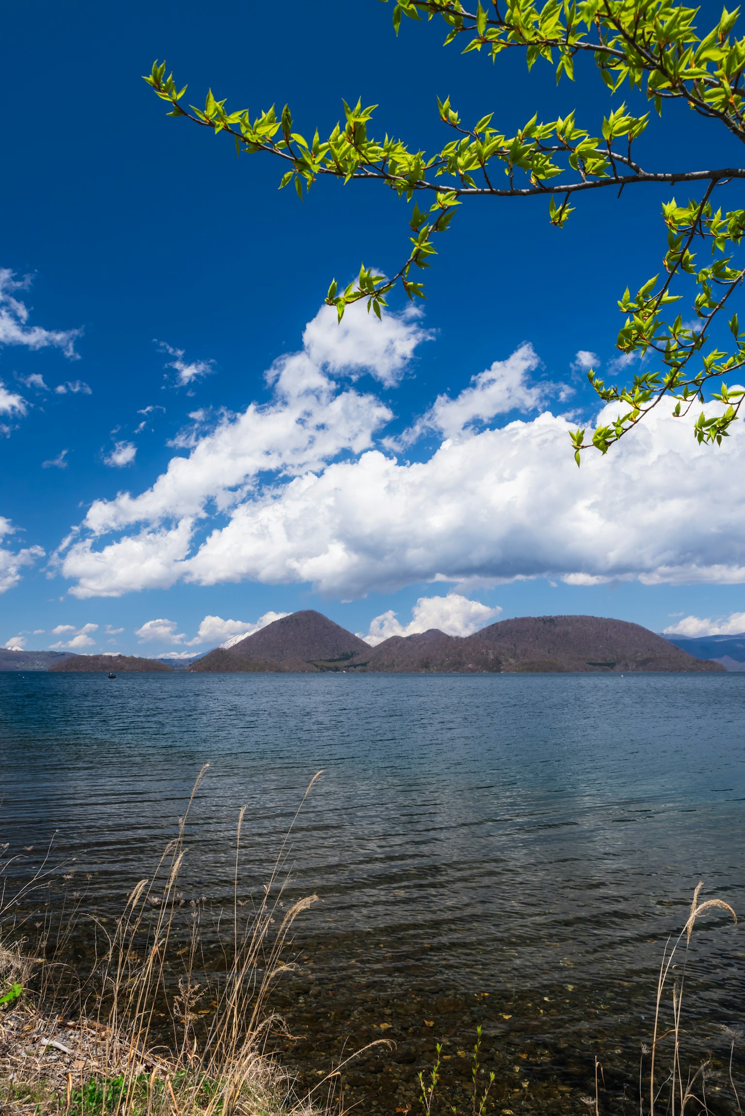 湖泊的風景 藍天和白雲 前景有綠色的葉子