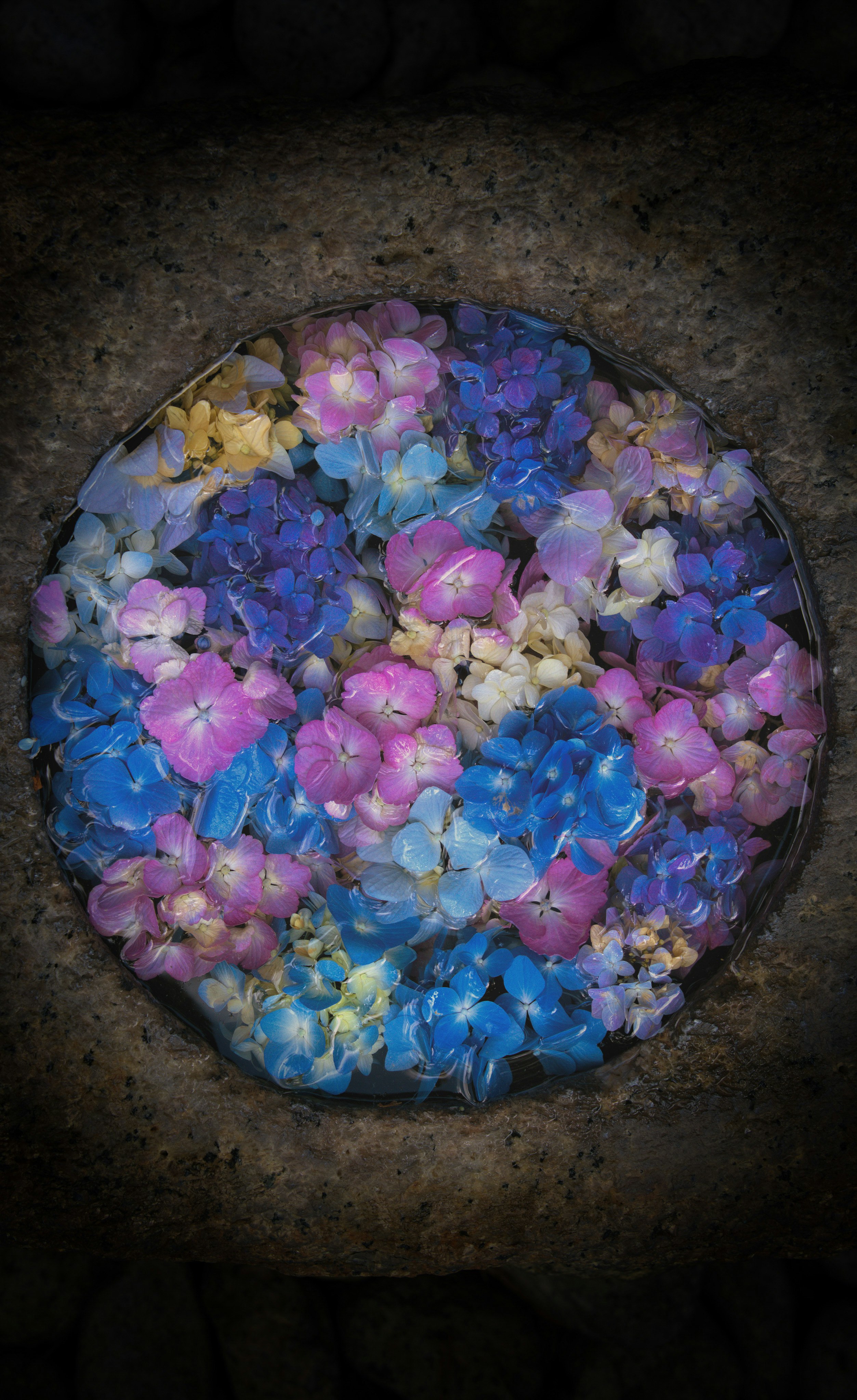 青と紫の花びらが敷き詰められた円形の花の器