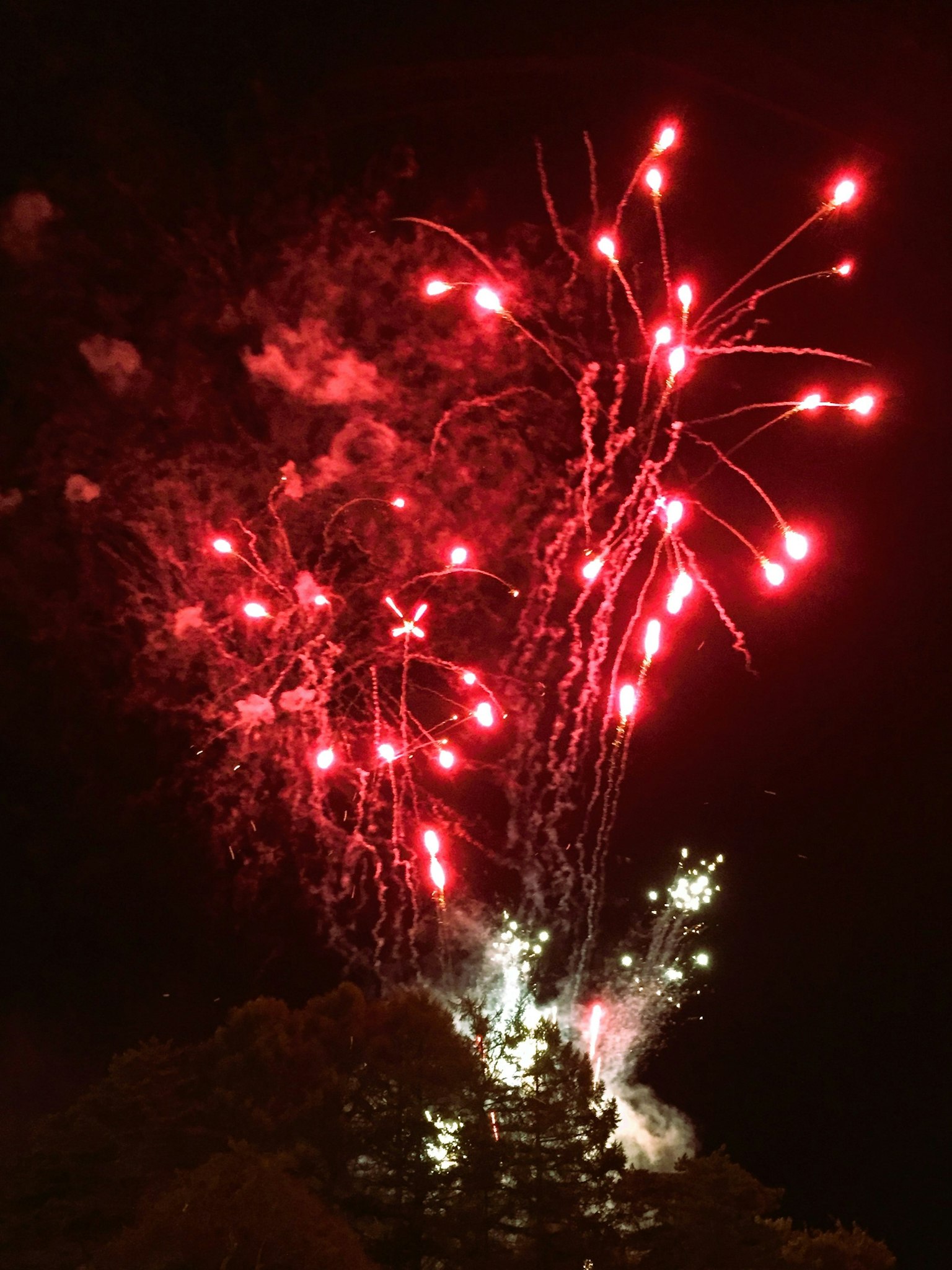 夜空中绽放的红色和白色烟花