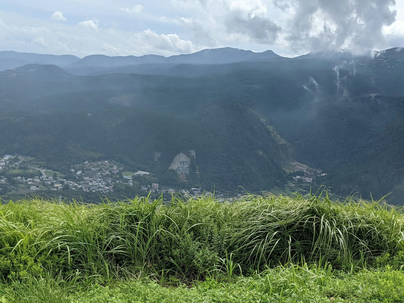 郁郁蔥蔥的草地與背景中的山脈景觀