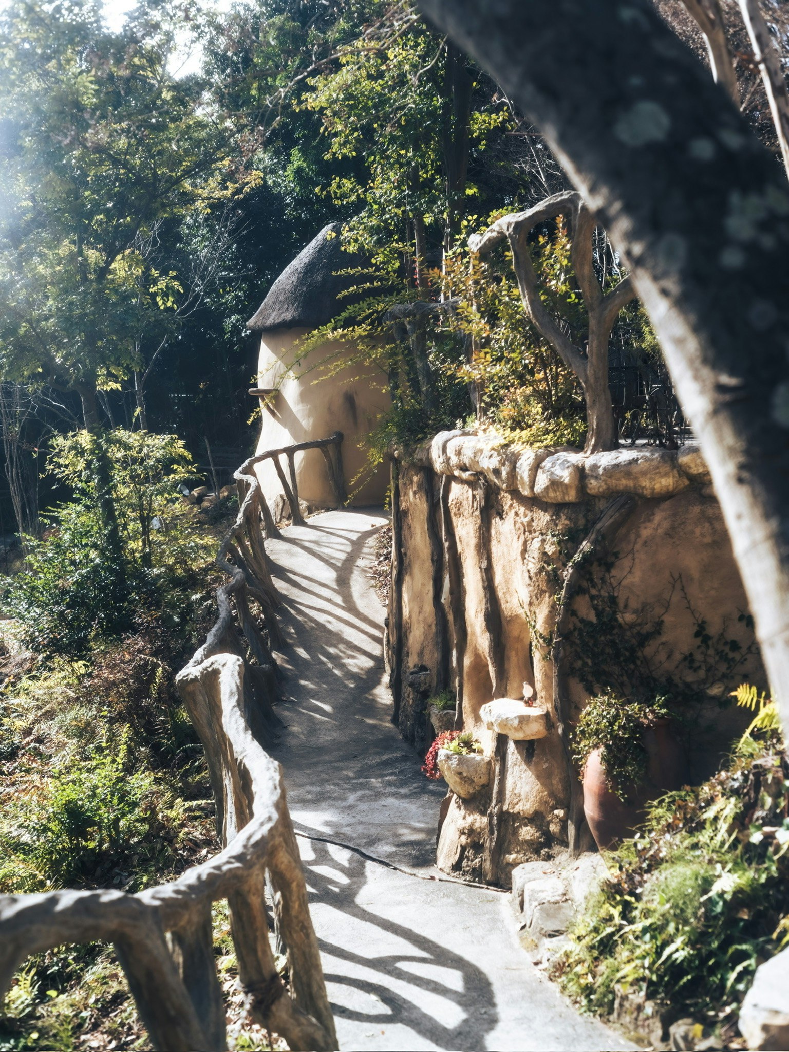 森林中的小路与木栅栏景观