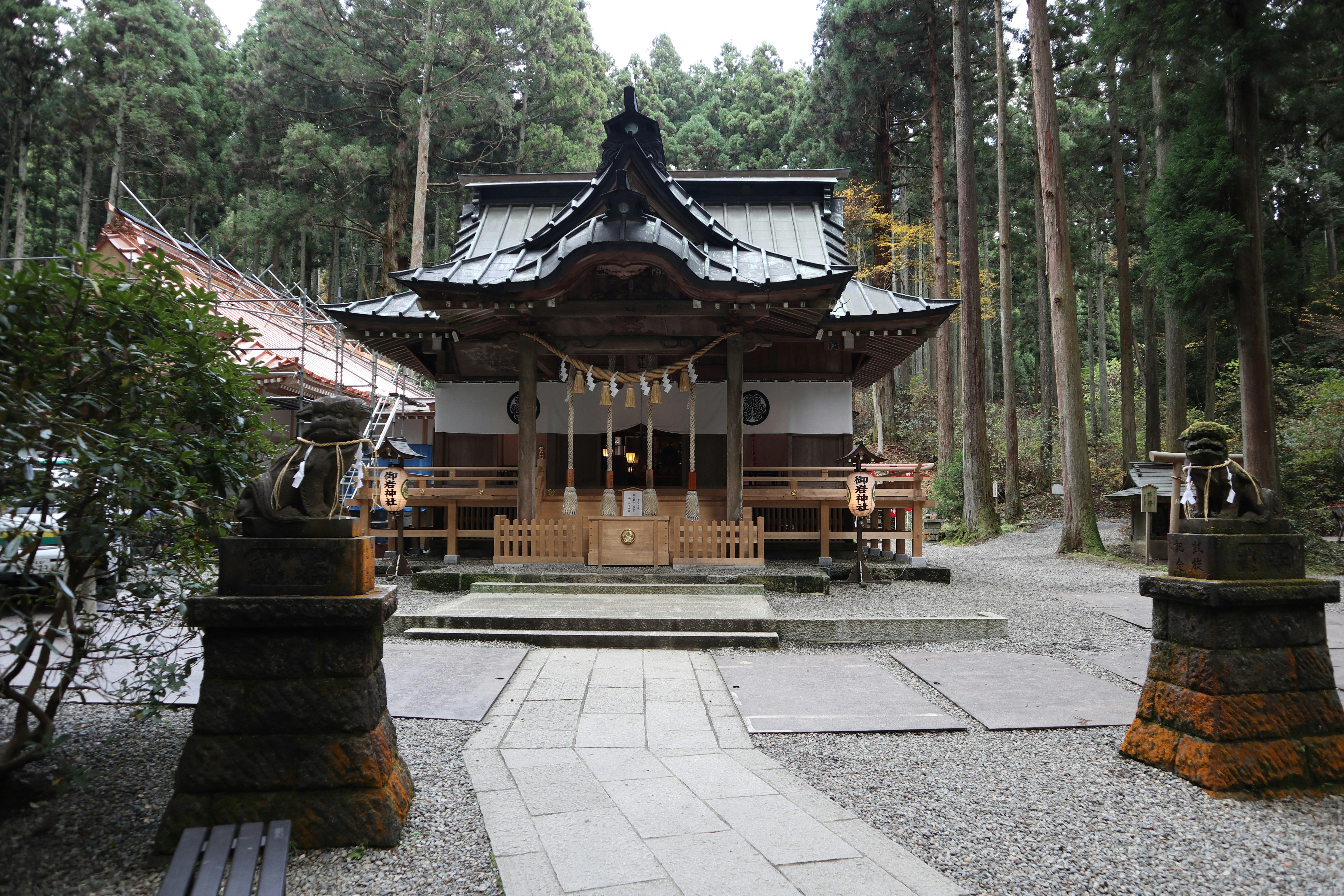 shrine worship hall and stone-paved approach path in a forest