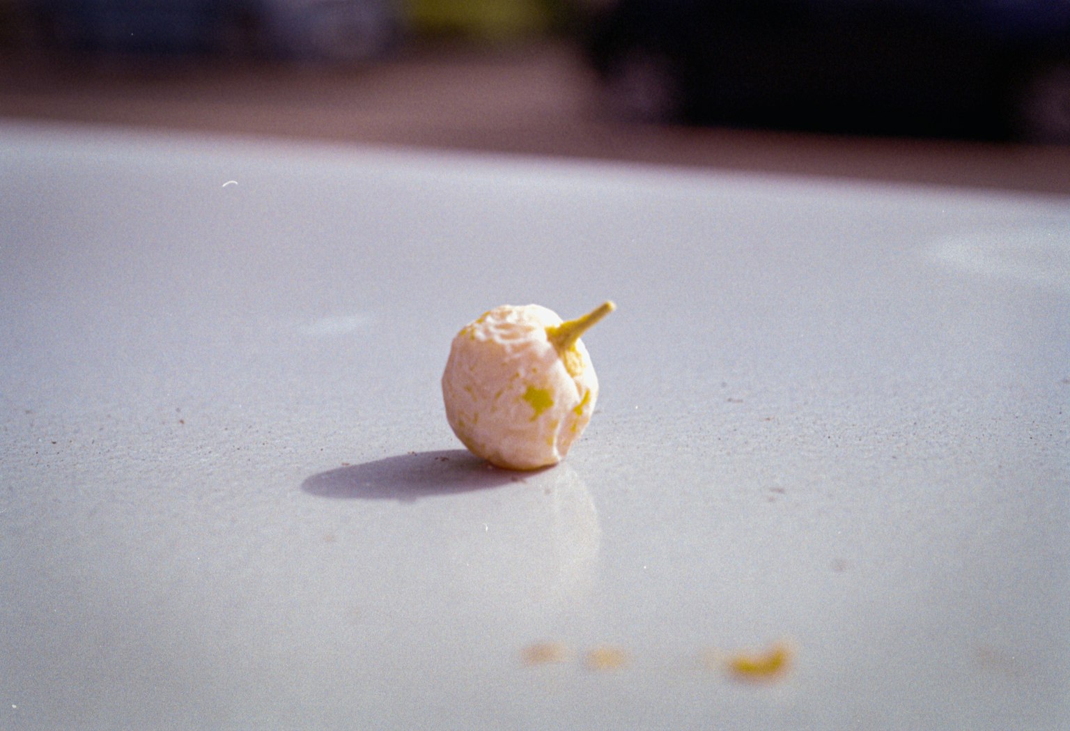 白い表面の上にある小さな果実のような物体