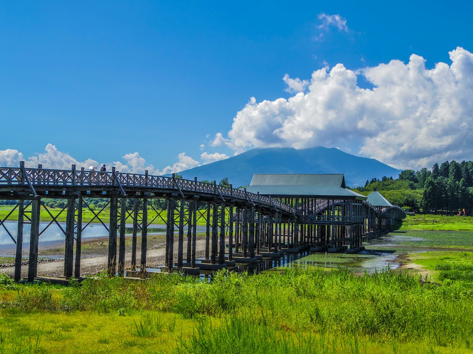 Cây cầu gỗ trải dài trên cỏ xanh tươi dưới bầu trời xanh đẹp