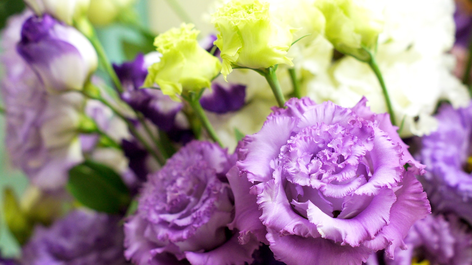 Un bouquet avec de magnifiques fleurs violettes et blanches