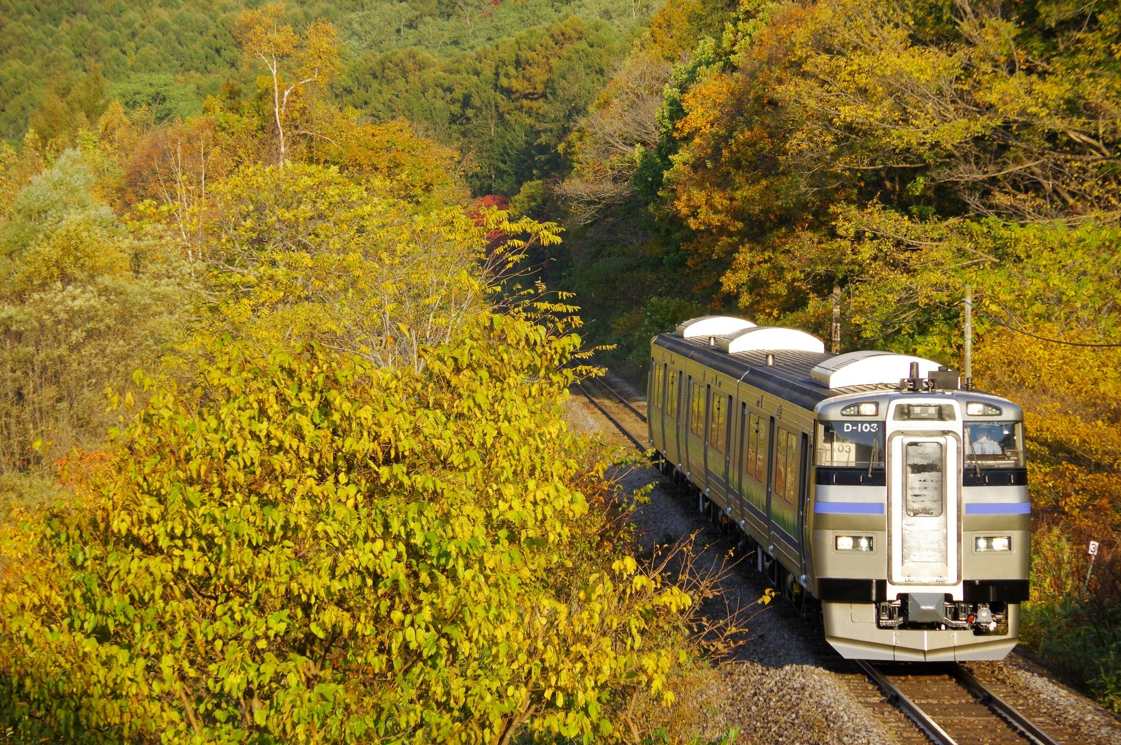初秋の函館本線を行くキハ201と紅葉の車窓風景