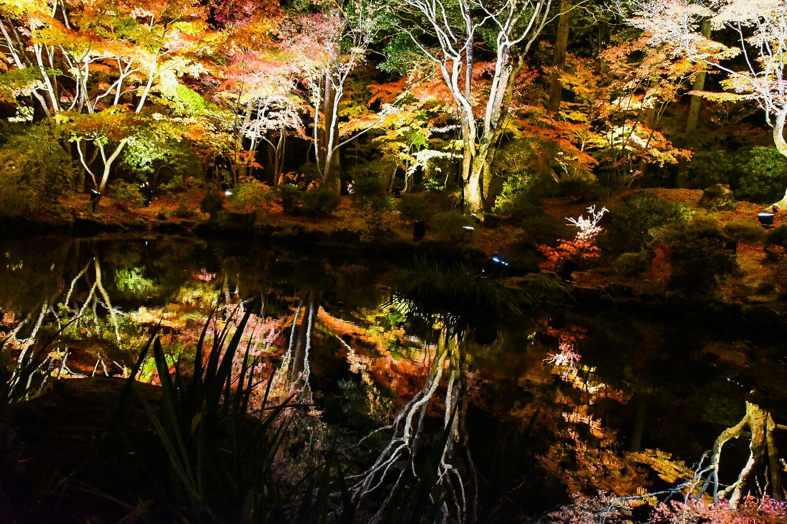 紅葉の木々と水面に映る秋の景色