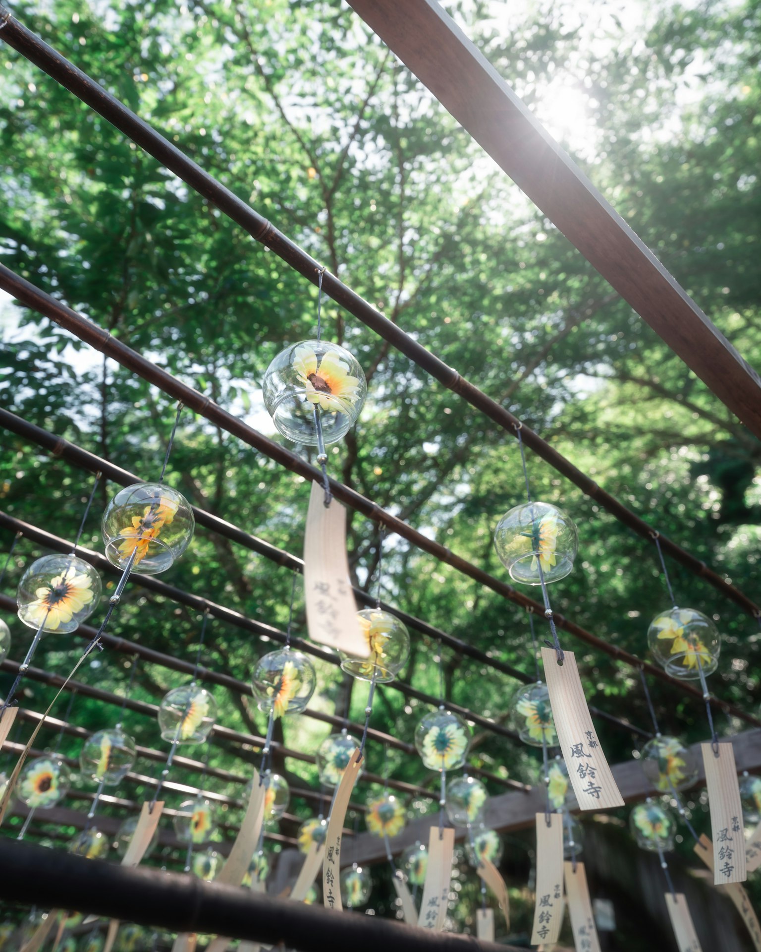 Des carillons colorés suspendus parmi des arbres verdoyants