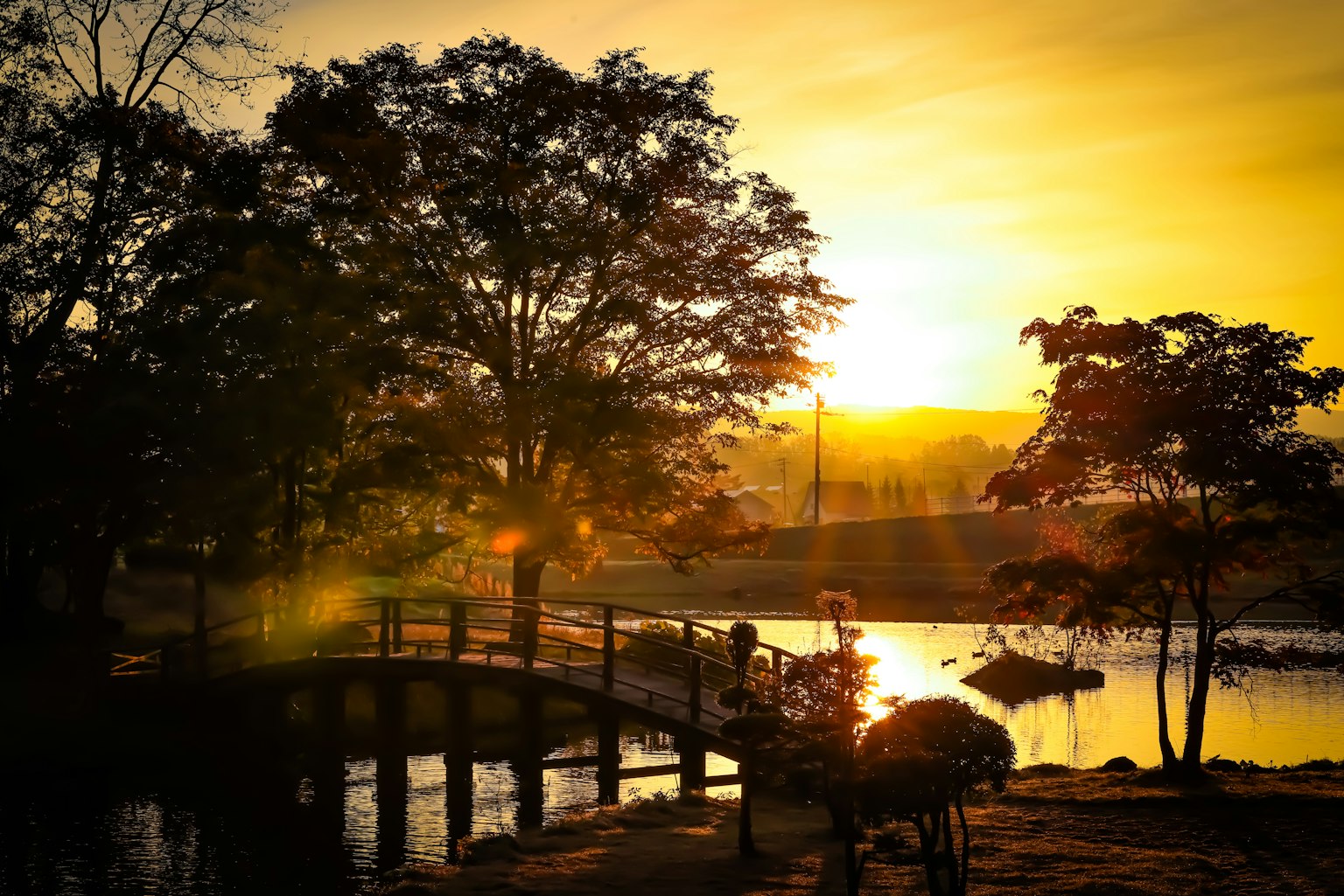 Paesaggio del parco al tramonto con silhouette di un ponte e di uno stagno circondato da alberi