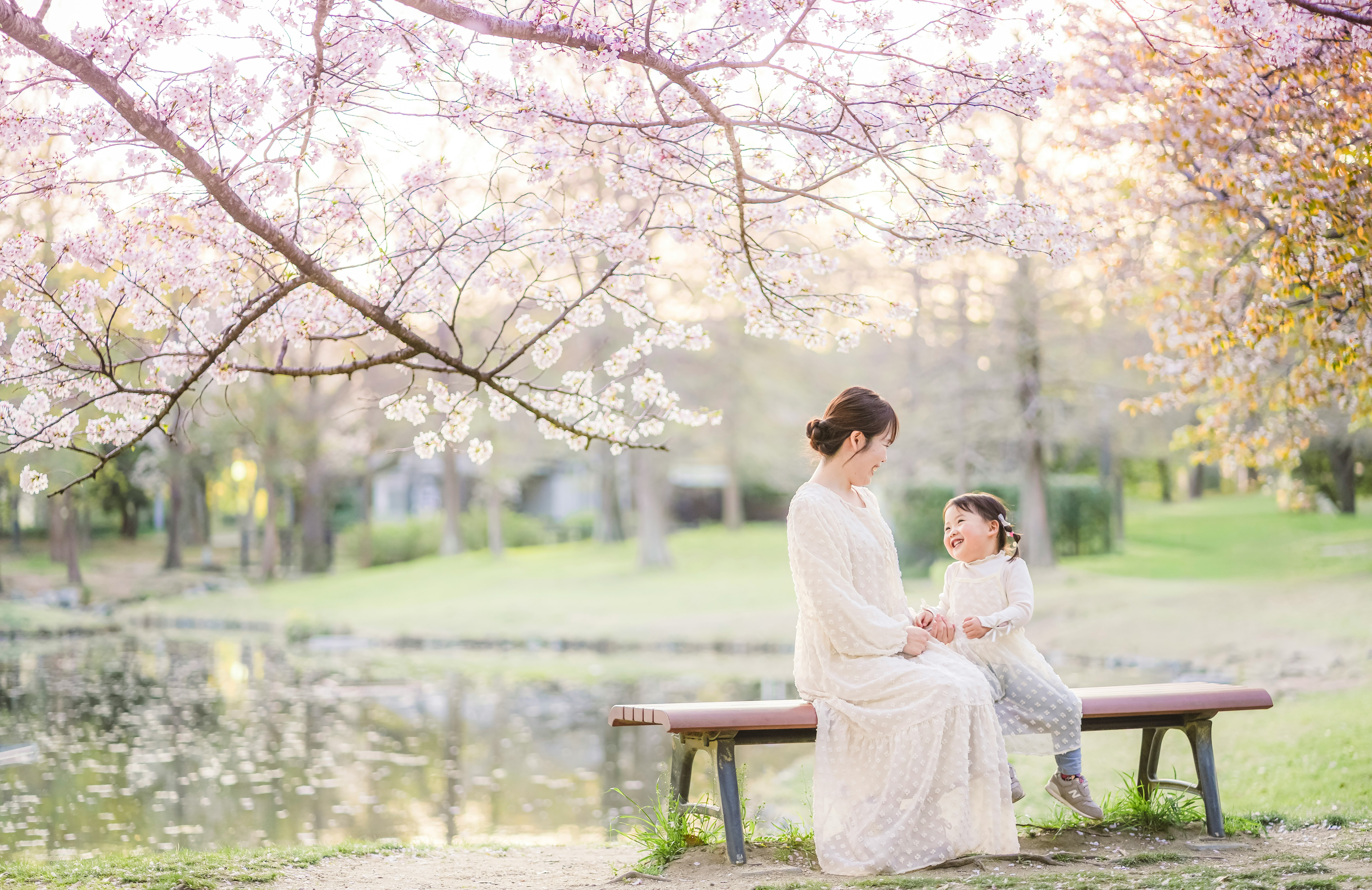 鶴見緑地公園の桜並木でベンチに座る家族の春のひととき