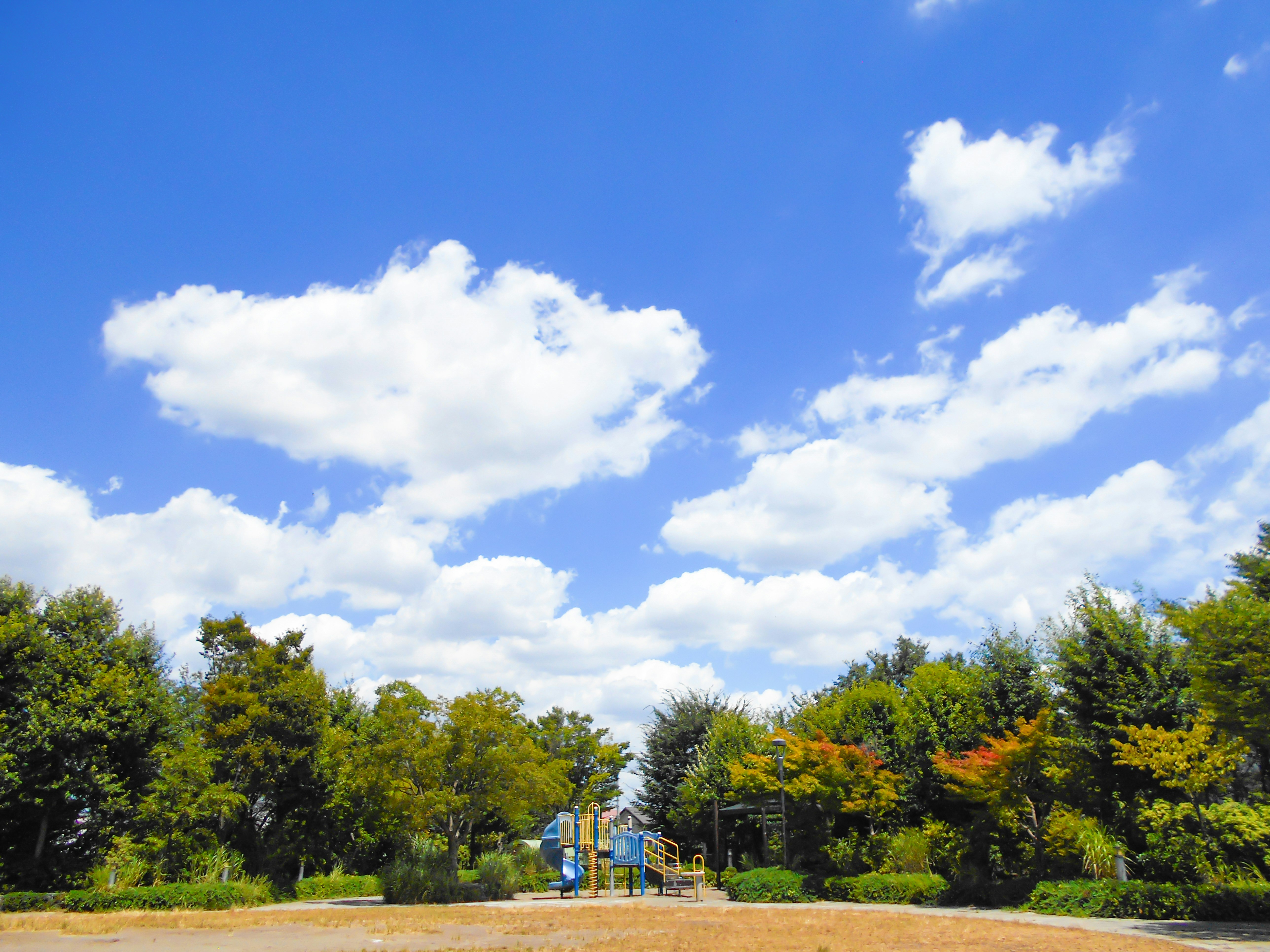 a park with playground equipment surrounded by trees under a blue sky