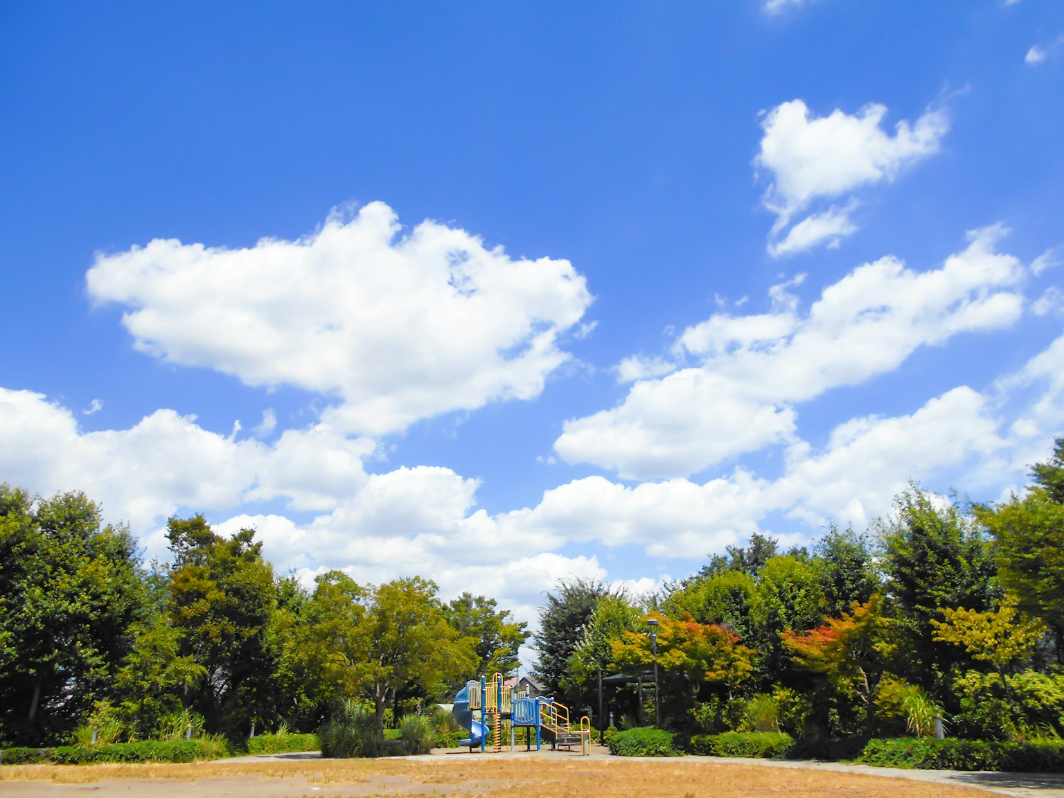 ภาพสวนสาธารณะมีท้องฟ้าสีฟ้าและเมฆขาวต้นไม้เขียวชอุ่มในพื้นหลัง