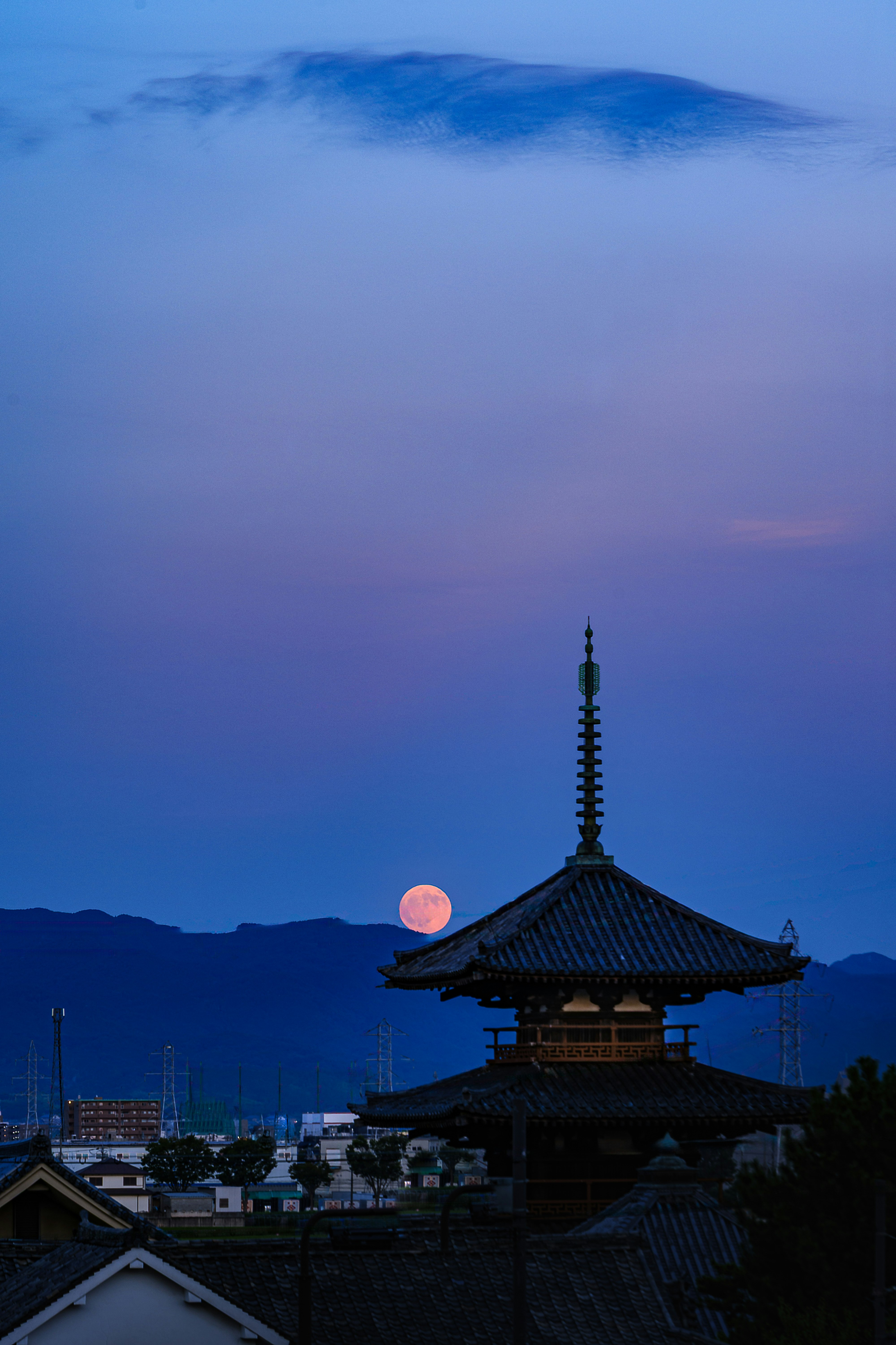 夕暮れの空に浮かぶ寺院の屋根と塔