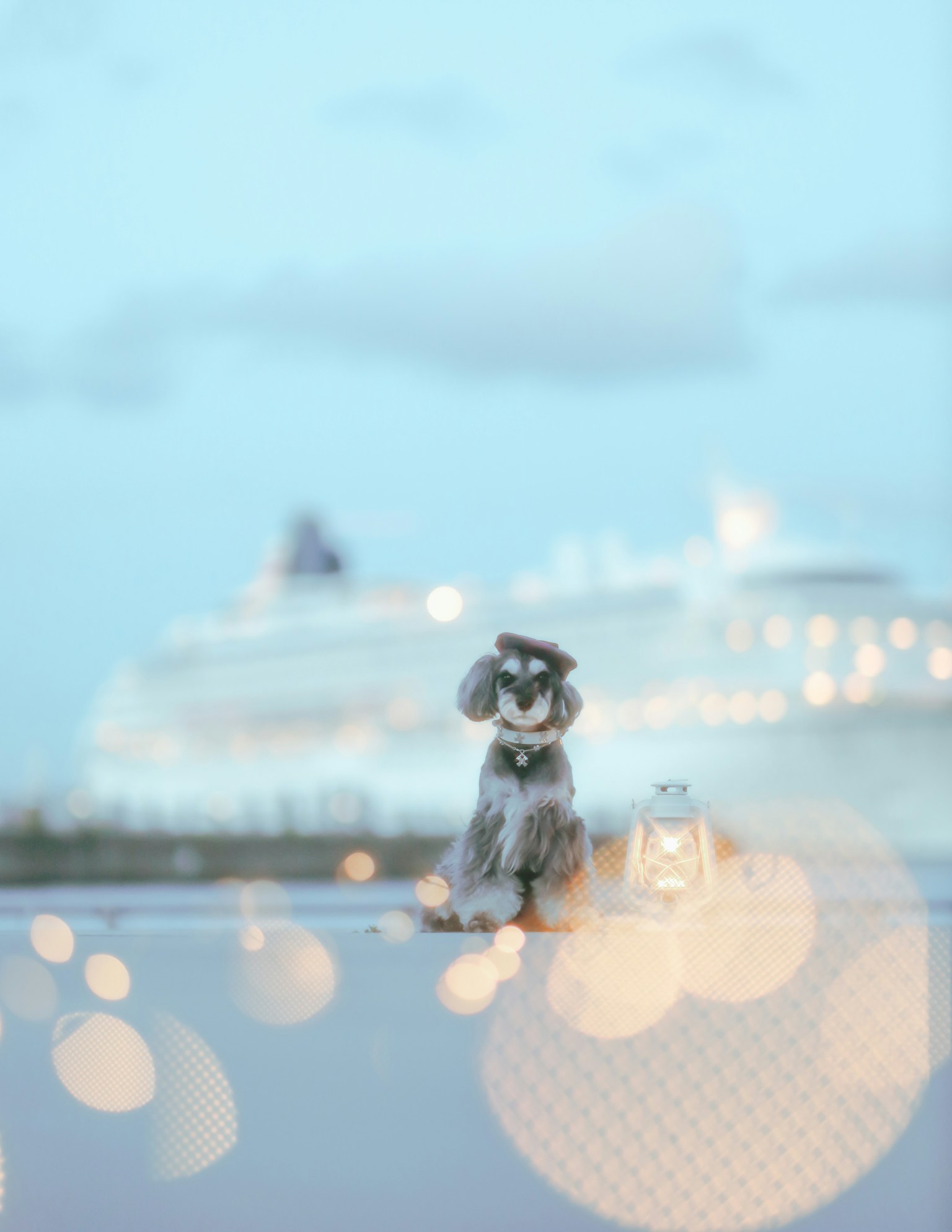 A cute stuffed dog standing against a blue background with blurred lights