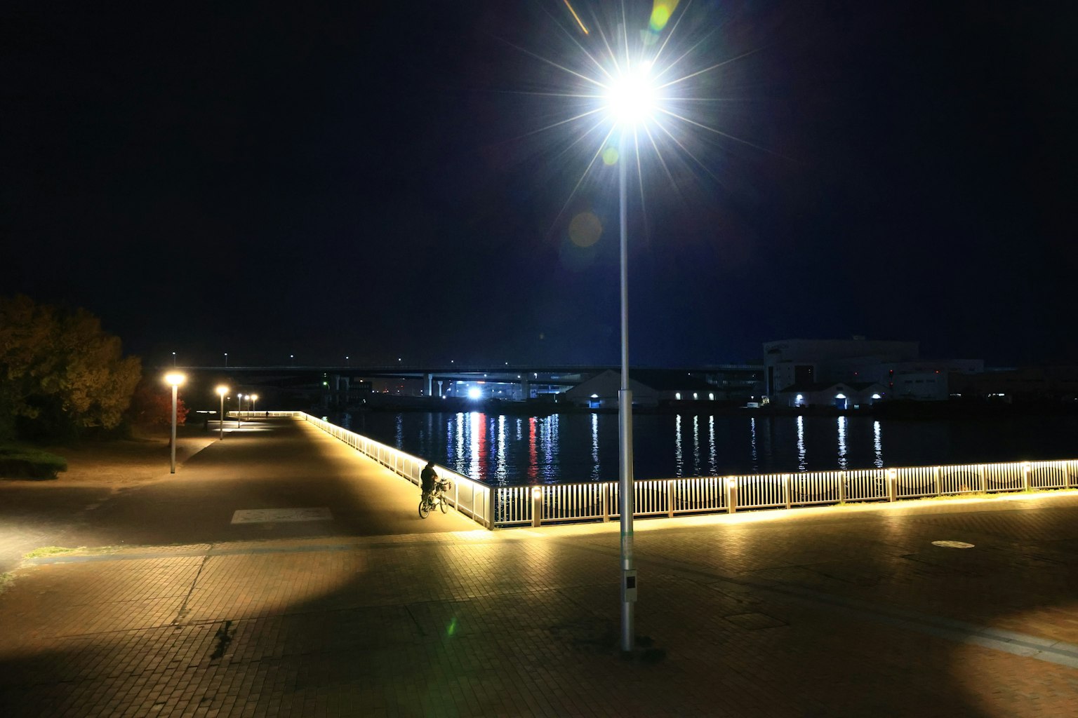 Vista notturna di un lungofiume con lampioni luminosi
