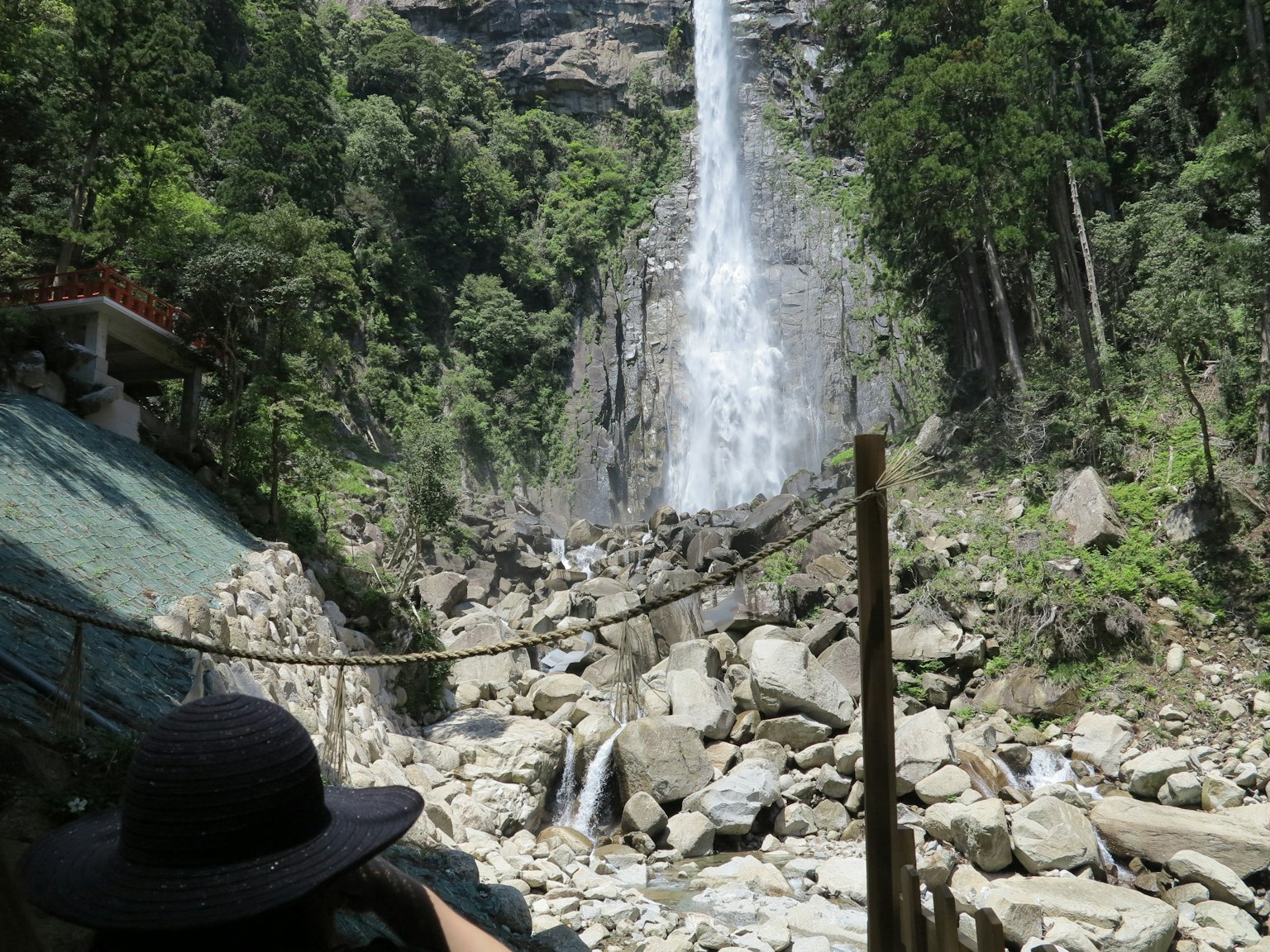 周围环绕着郁郁葱葱的绿色植被的瀑布美景