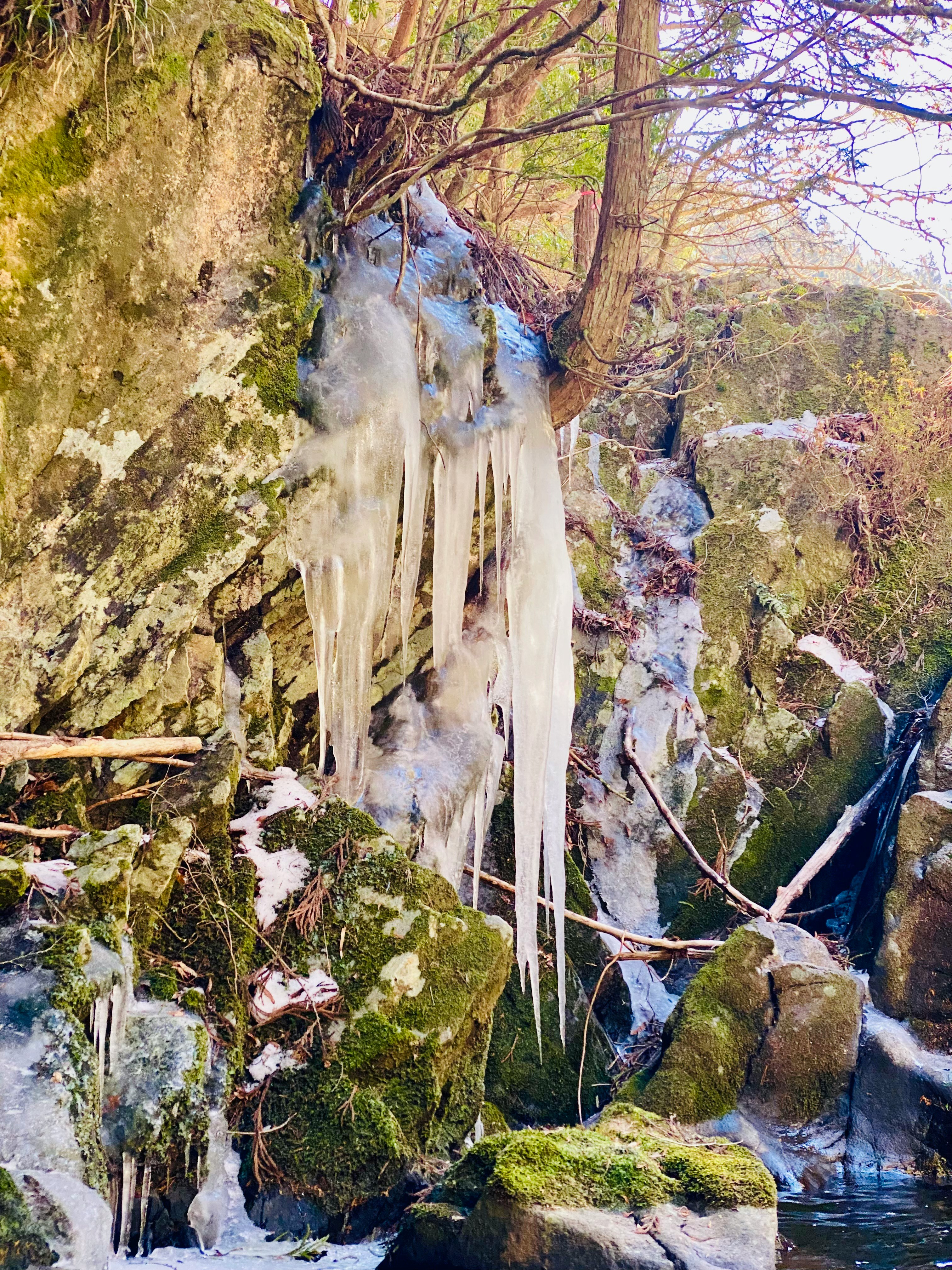 氷柱が岩肌から流れ落ちる渓流の氷の景色