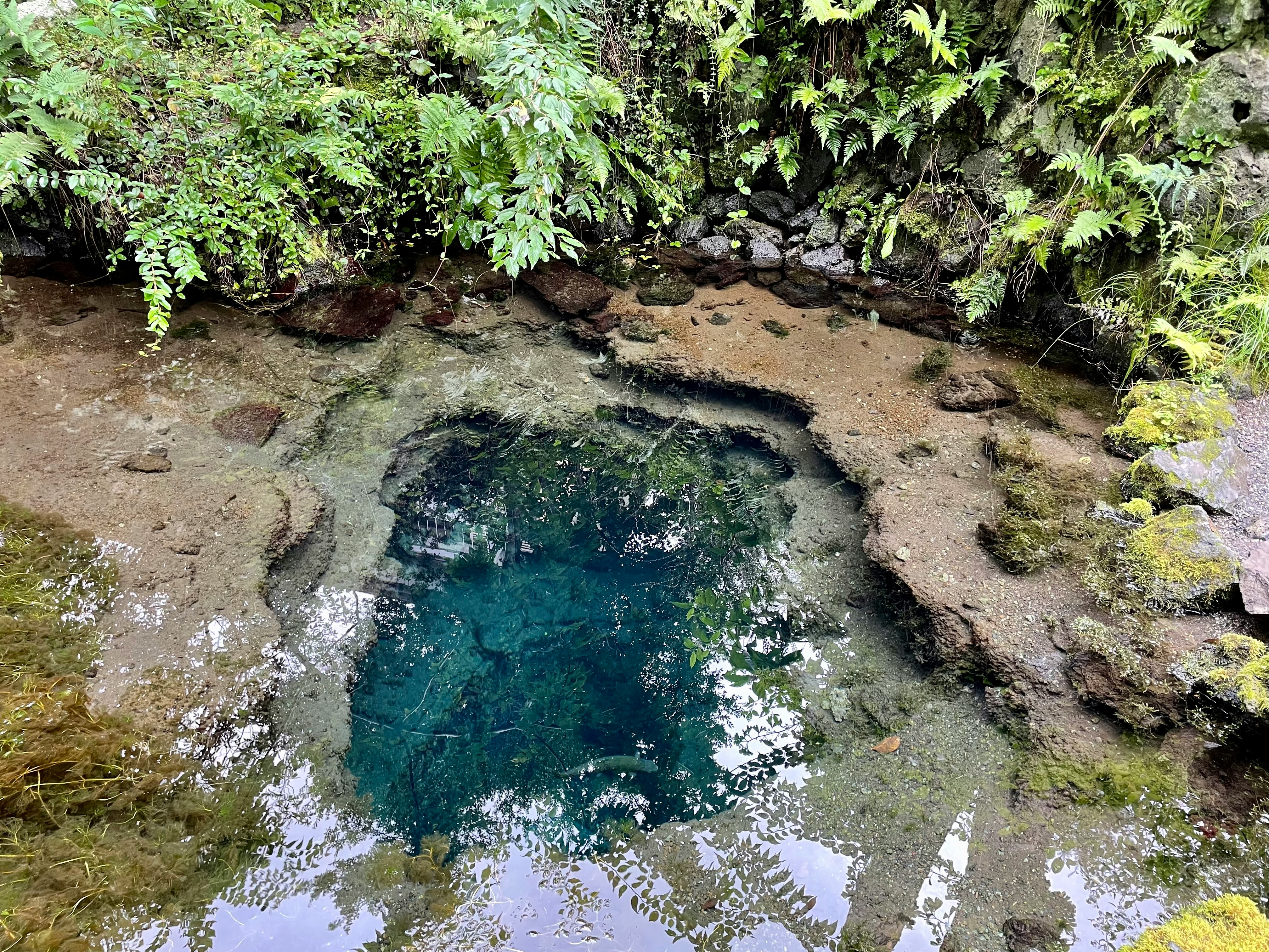 kolam batu kecil berlumut dengan aliran kecil dan genangan