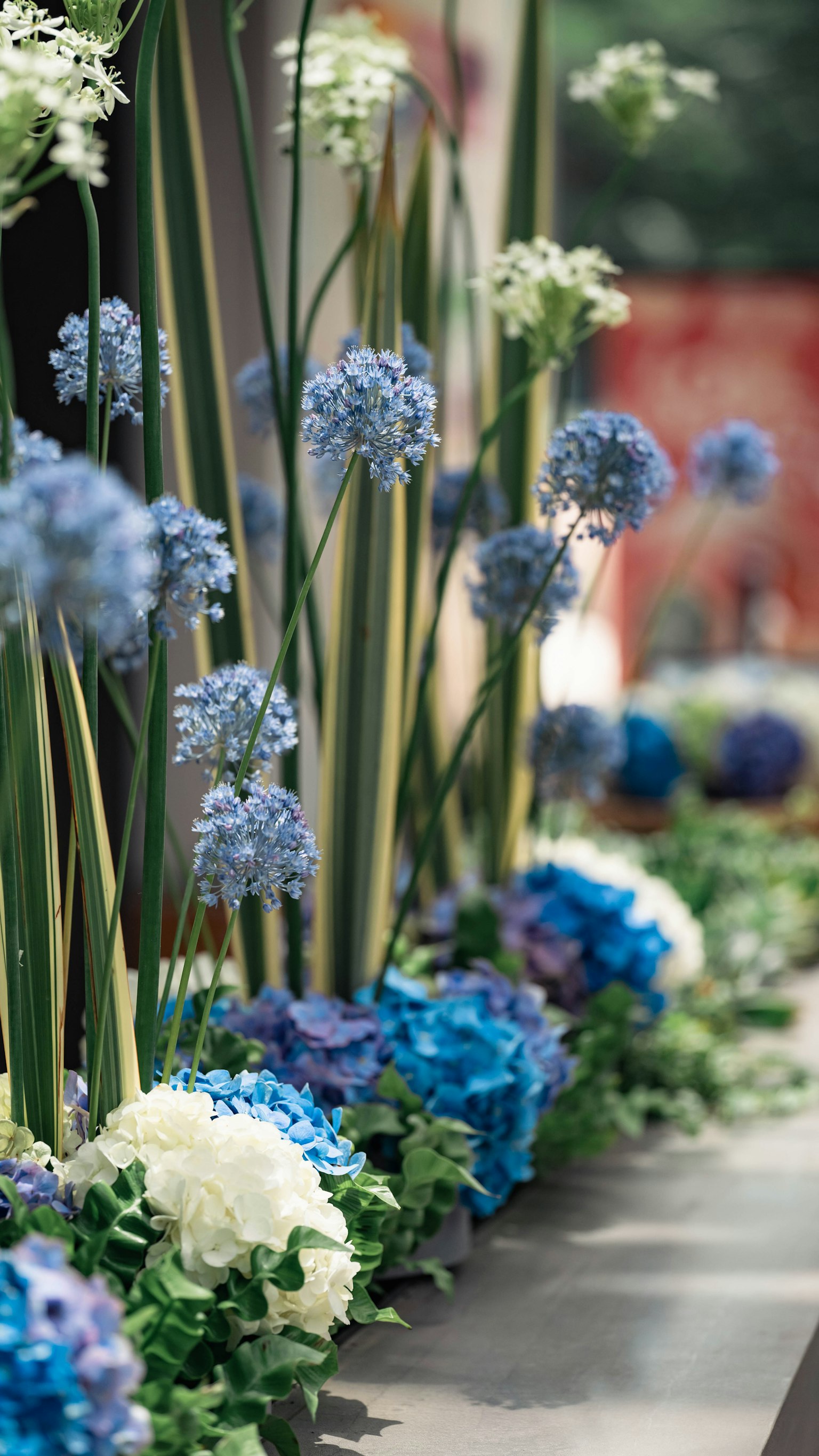 Un bellissimo arrangiamento di fiori blu e bianchi con alti steli verdi