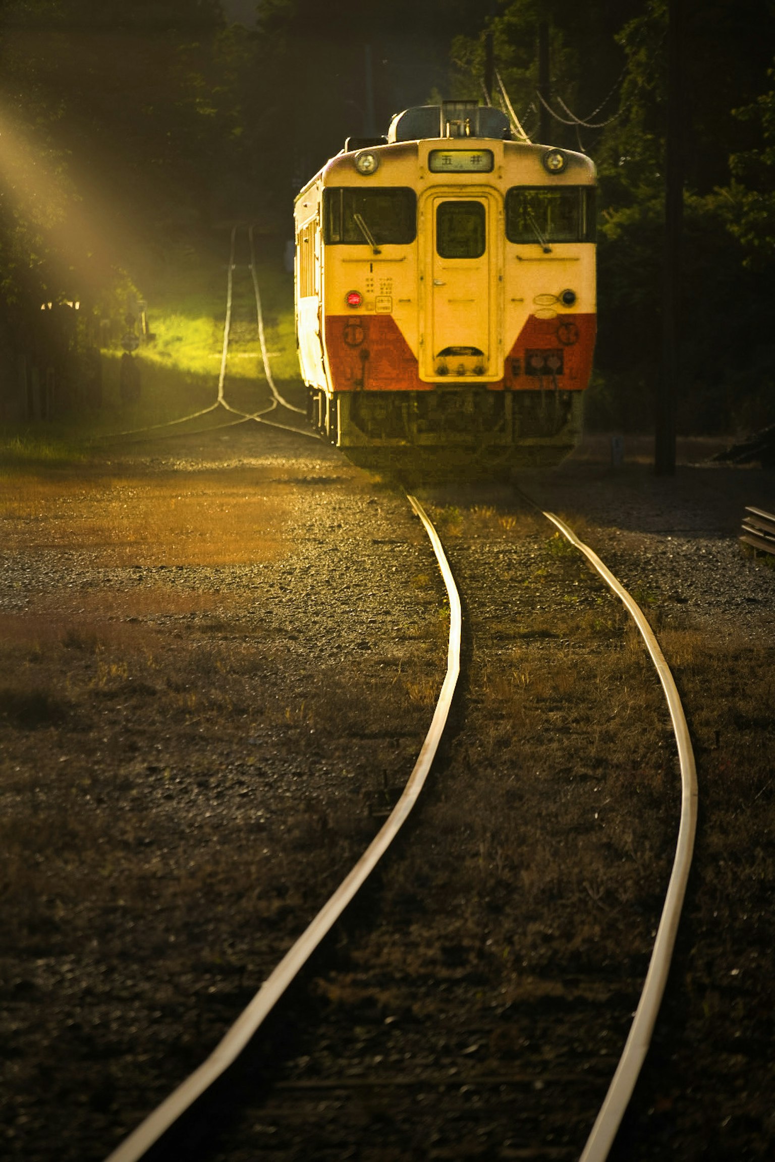 Zug nähert sich auf gebogenen Gleisen im Abendlicht