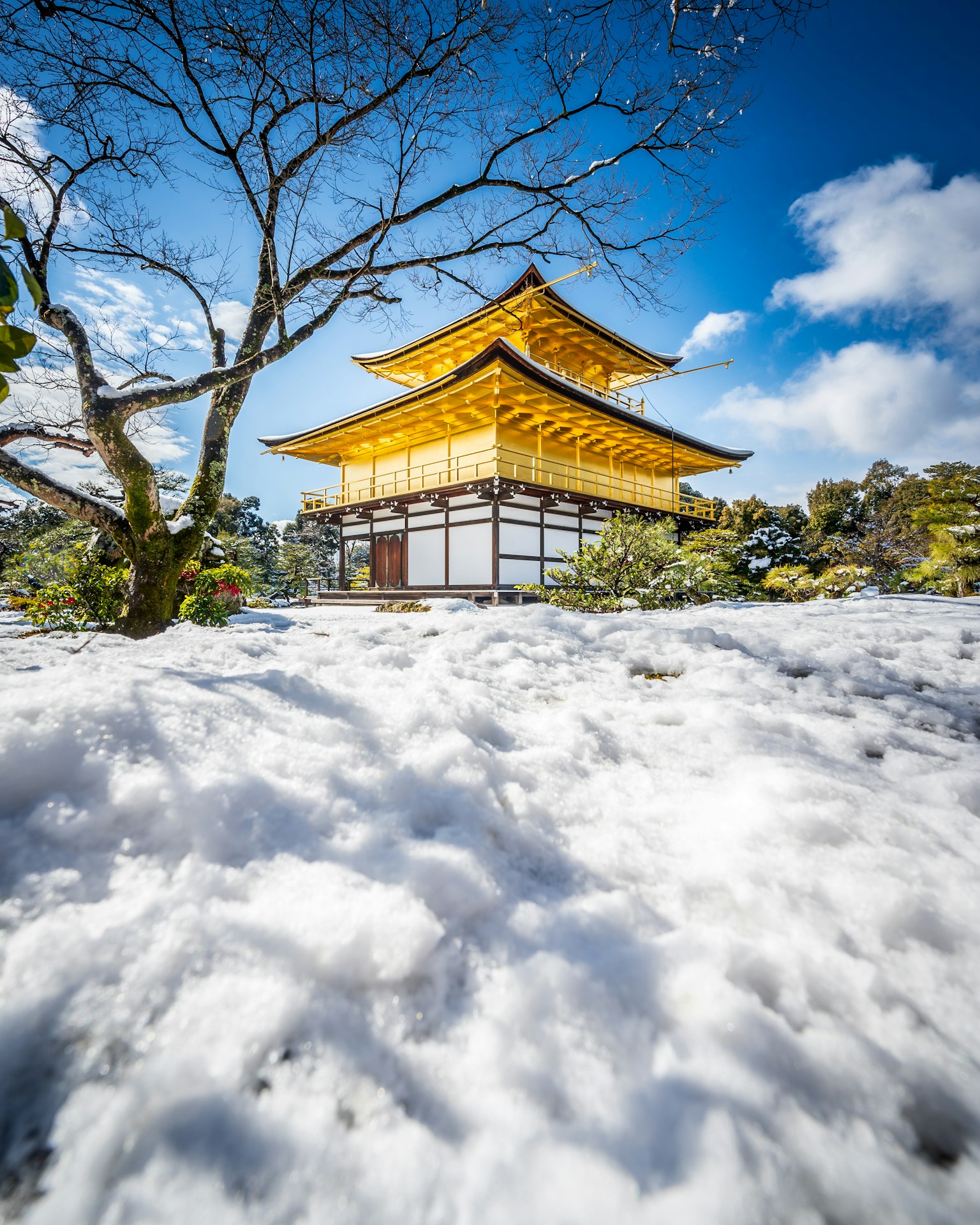 被雪覆盖的金阁寺美丽景观