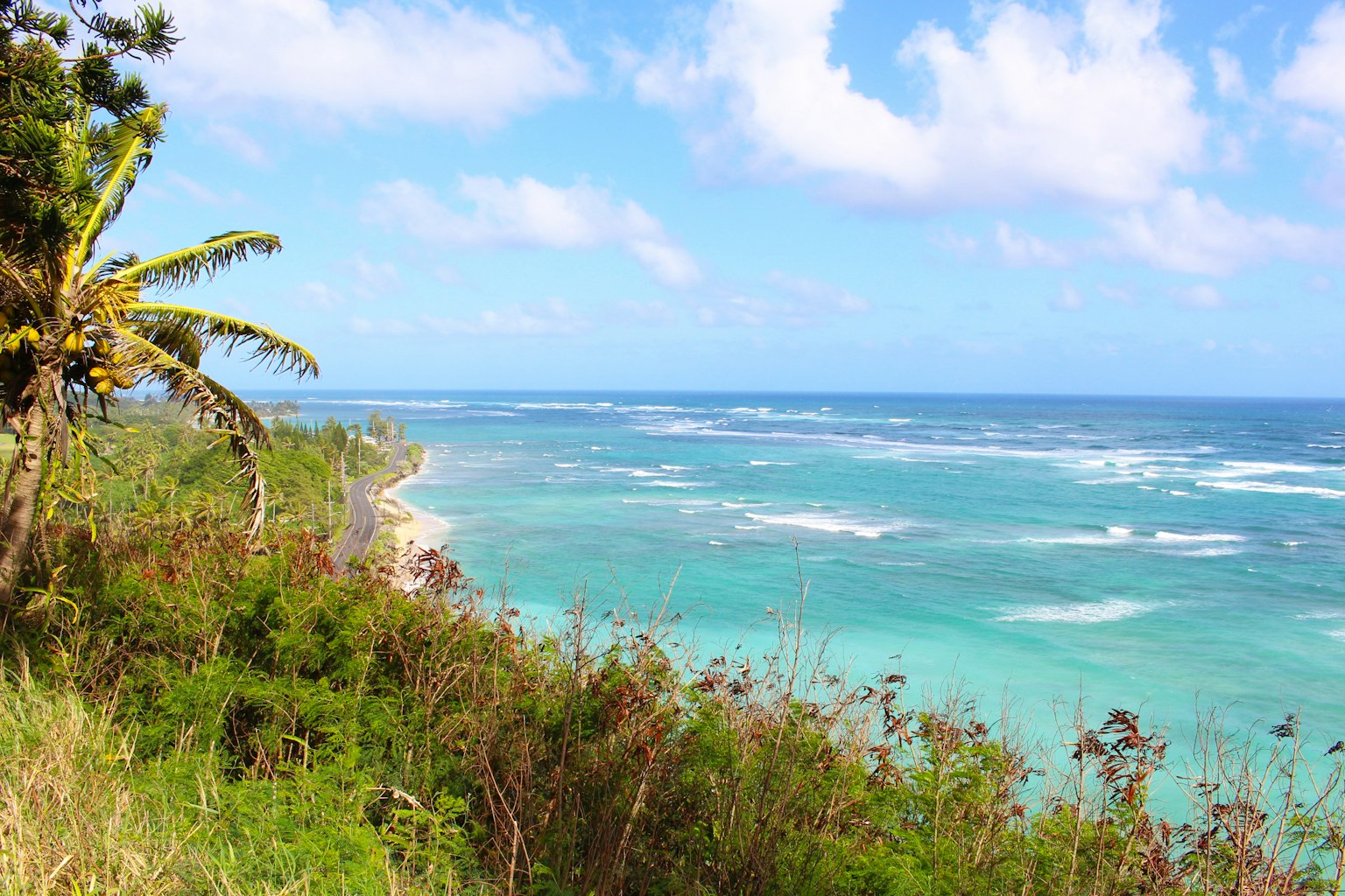 Schöne Landschaft mit blauem Ozean und weißen Wellen grüne Vegetation und blauer Himmel