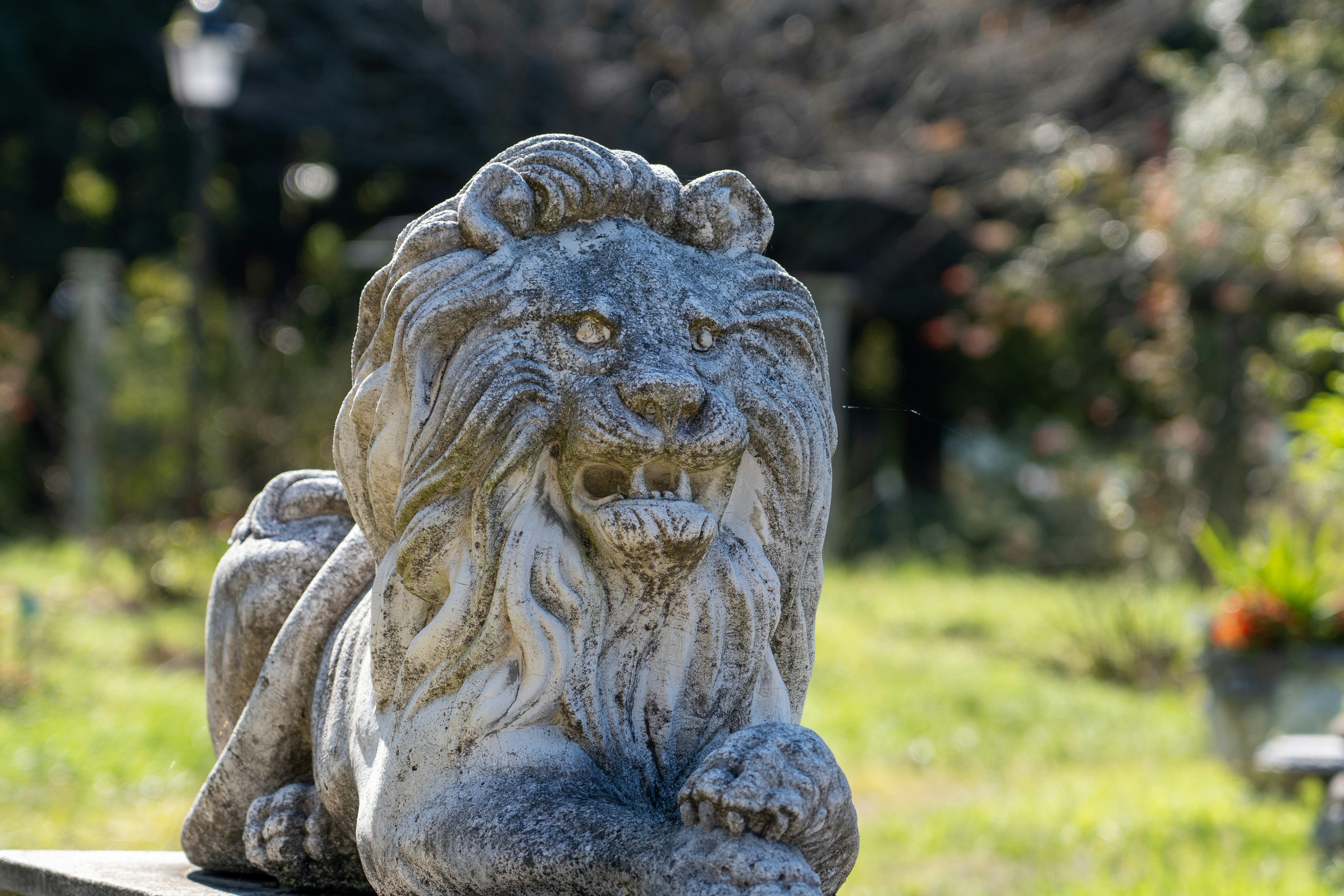 Stone lion statue lying in a green background