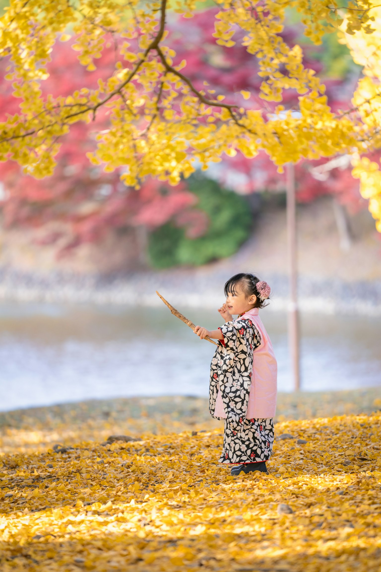一個穿著和服的孩子在公園裡拿著樹枝站在秋天的落葉中