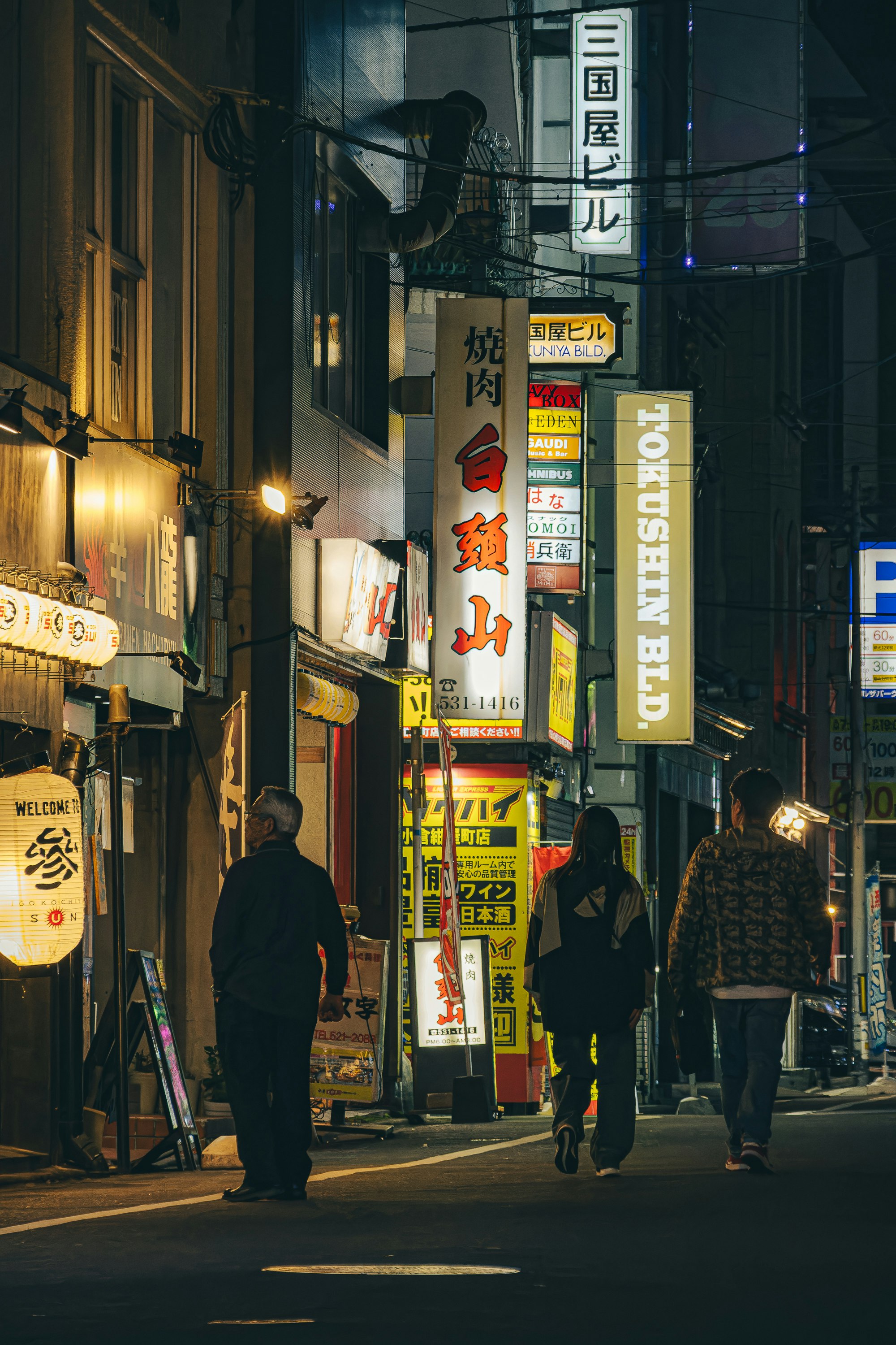 提灯や看板が並ぶ夜の路地の商店街