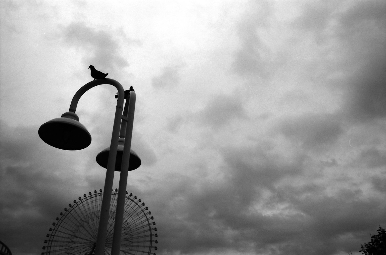 Schwarzweißszene mit einer Straßenlaterne und einer Taube, einem Riesenrad und Wolken im Hintergrund