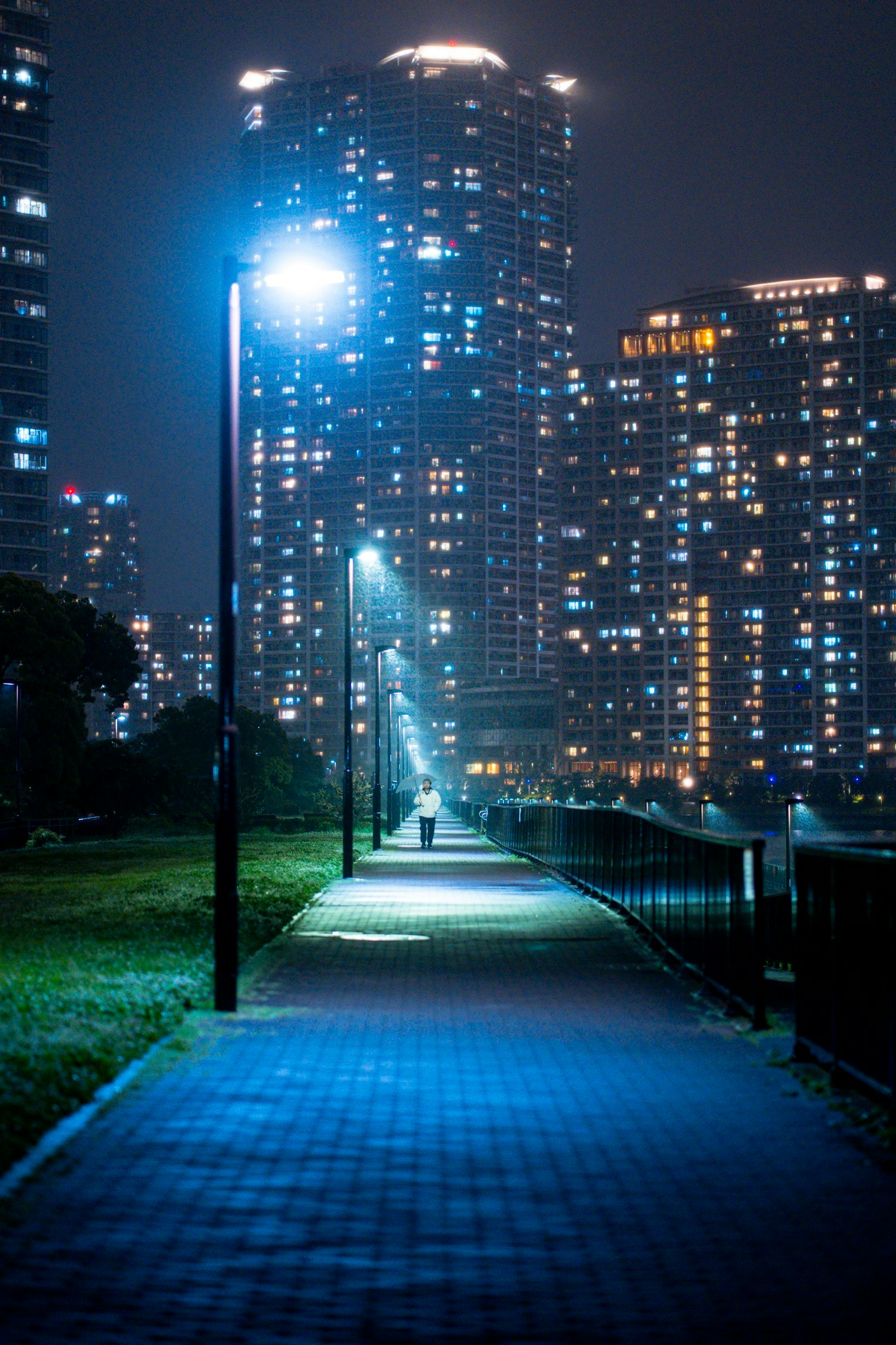 sendero de parque nocturno con rascacielos al fondo