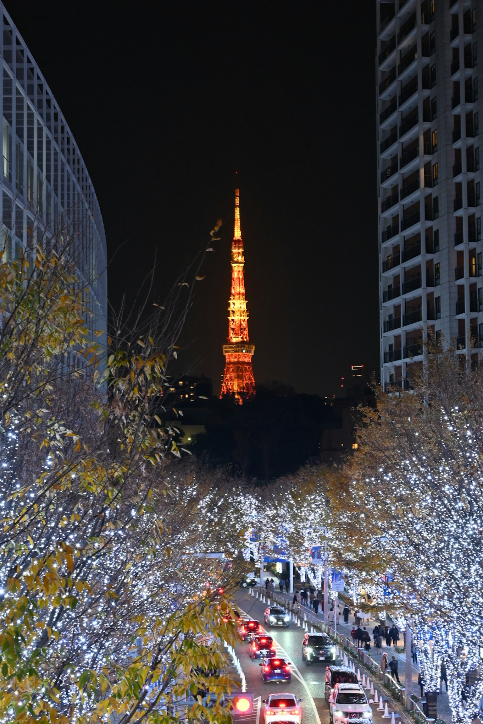 photo-Oa48Oghg55HJ580wBiiV-image