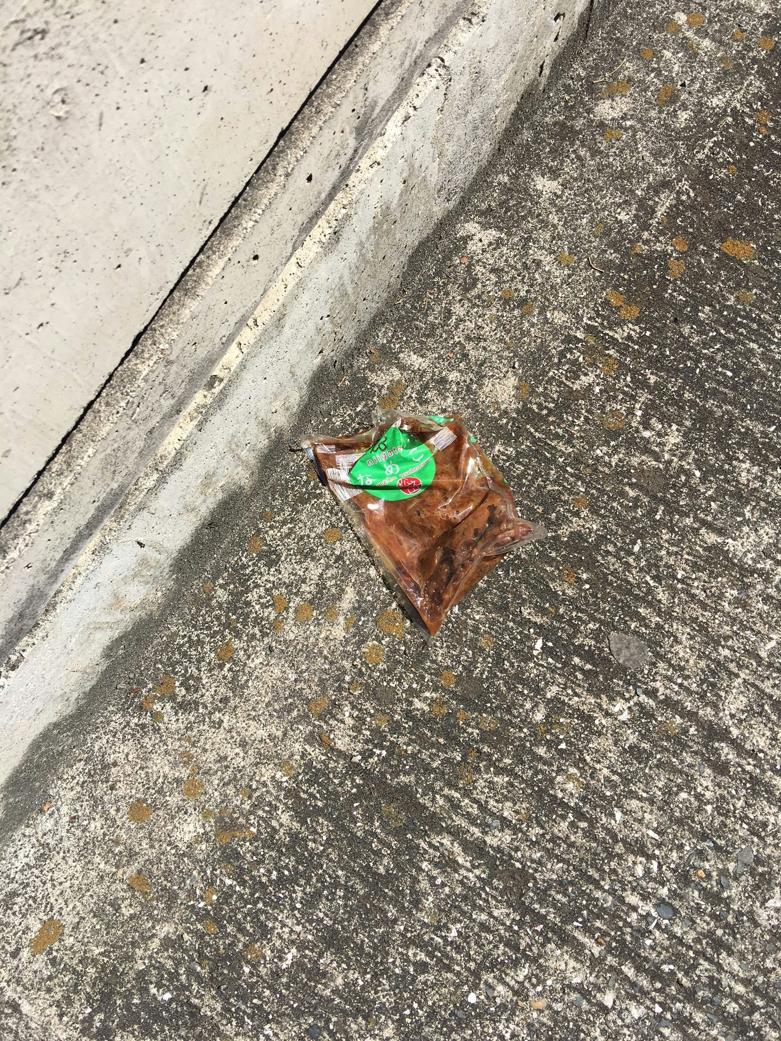 Small packaging bag on the ground featuring a green logo