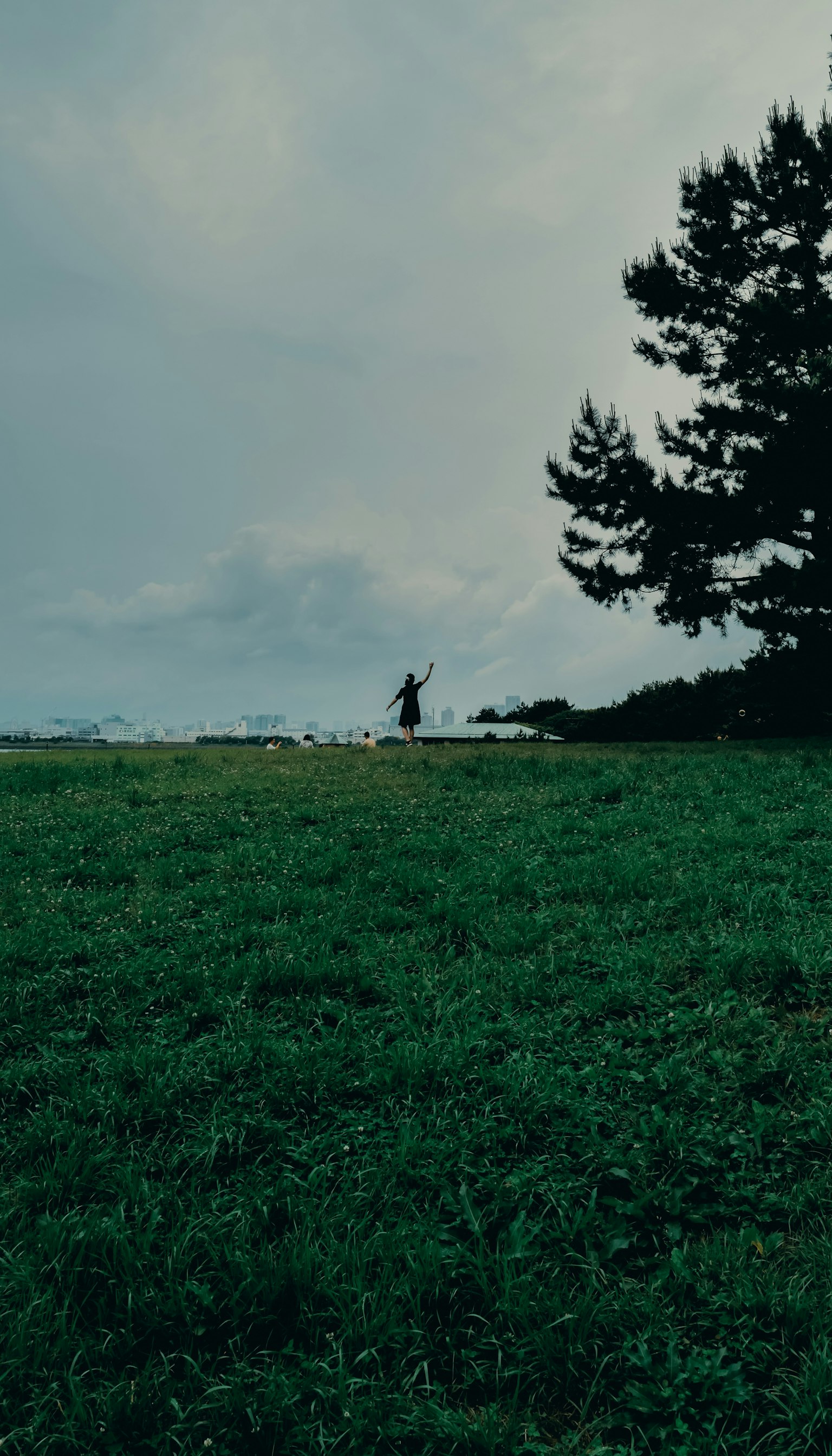 A person standing in a vast grassy field with a tree nearby